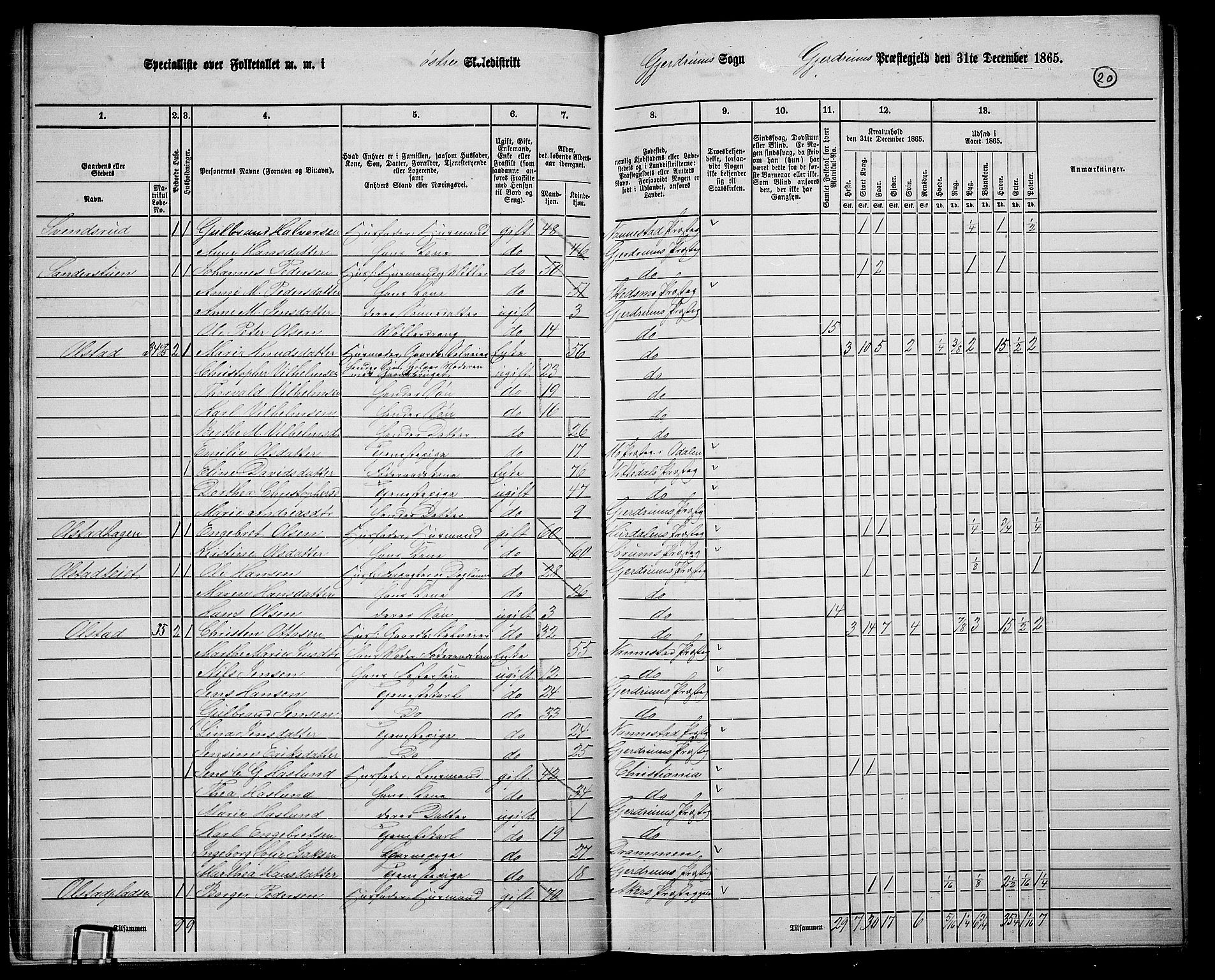 RA, 1865 census for Gjerdrum, 1865, p. 19