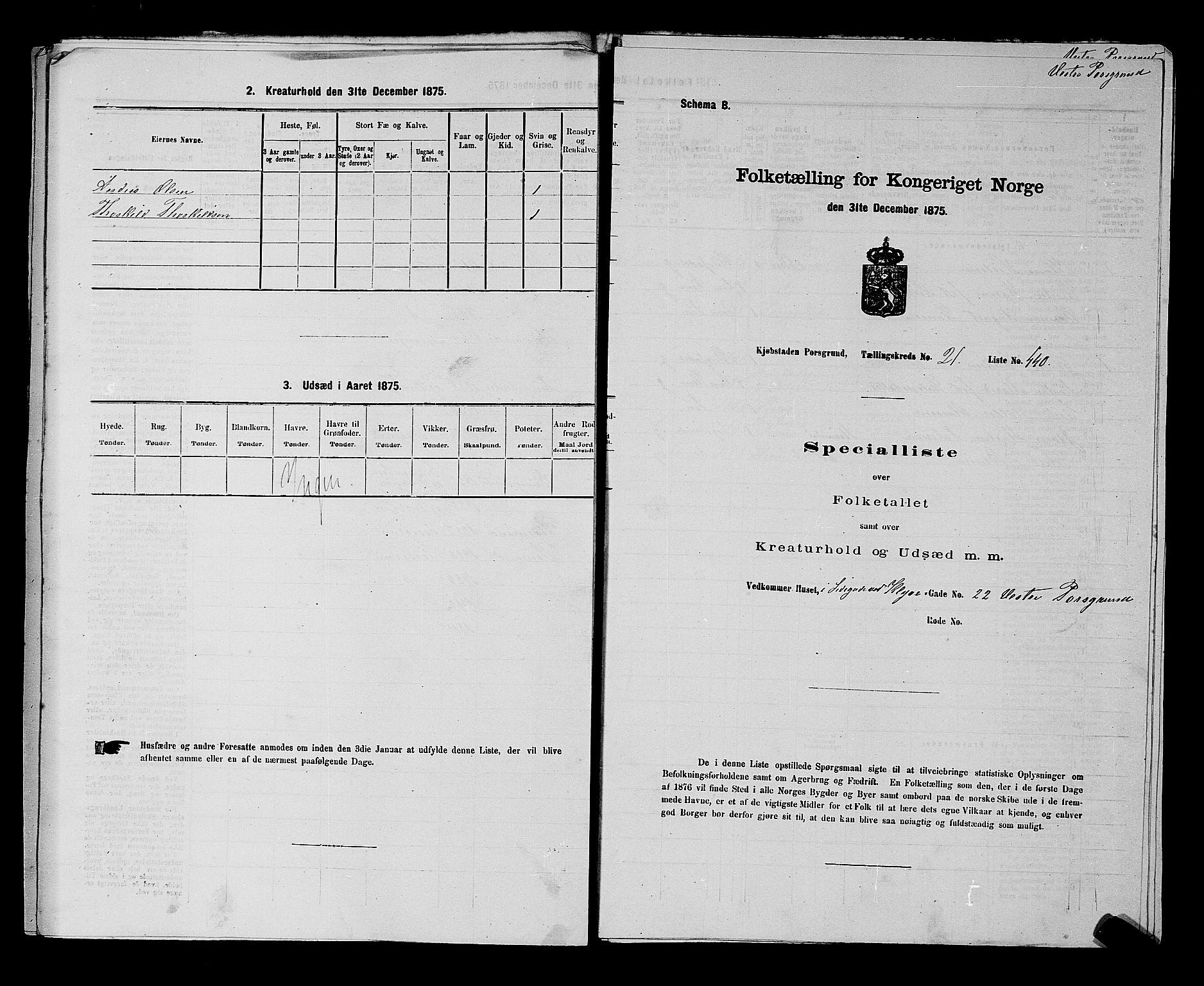 SAKO, 1875 census for 0805P Porsgrunn, 1875, p. 987