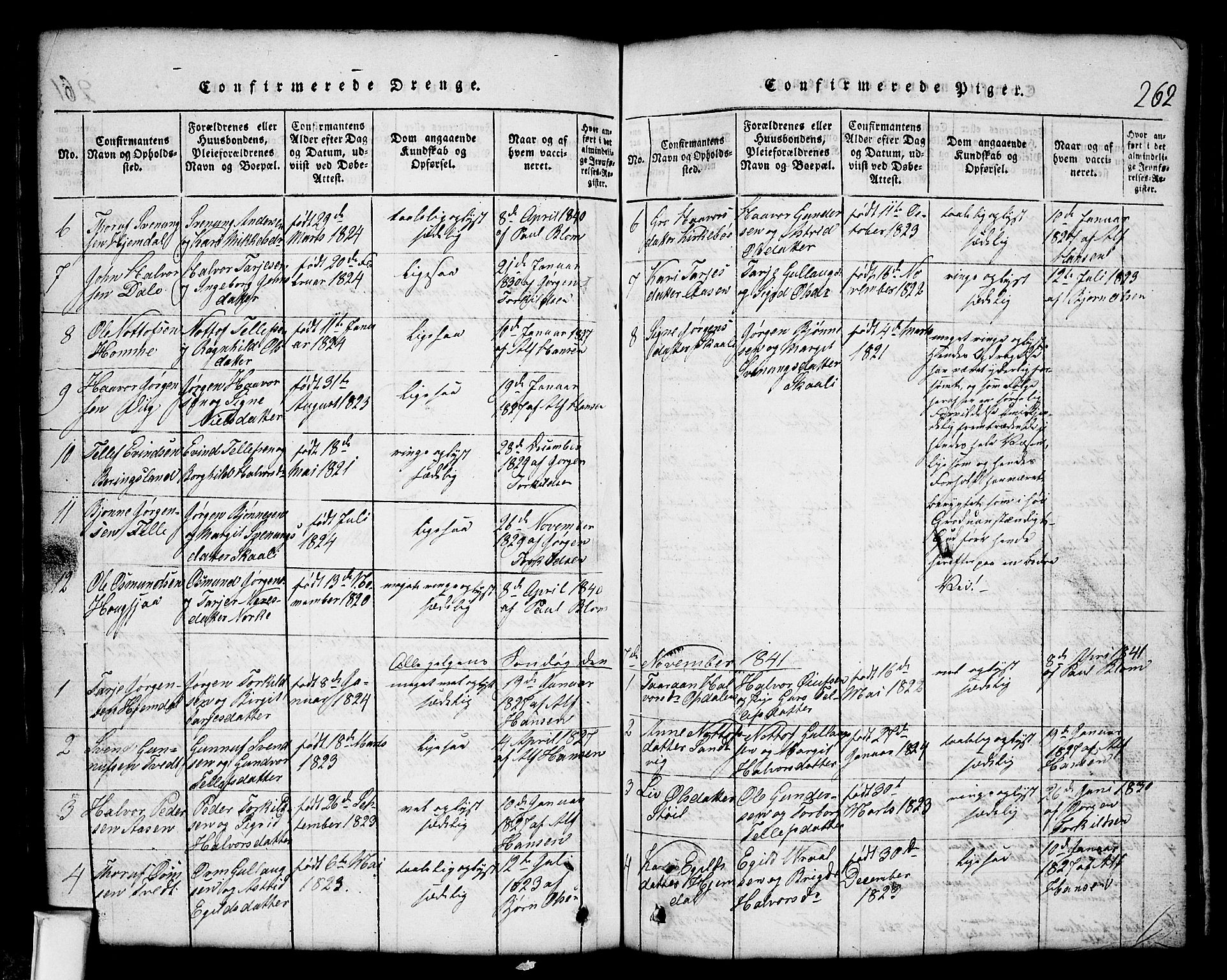 Nissedal kirkebøker, SAKO/A-288/G/Gb/L0001: Parish register (copy) no. II 1, 1814-1862, p. 262