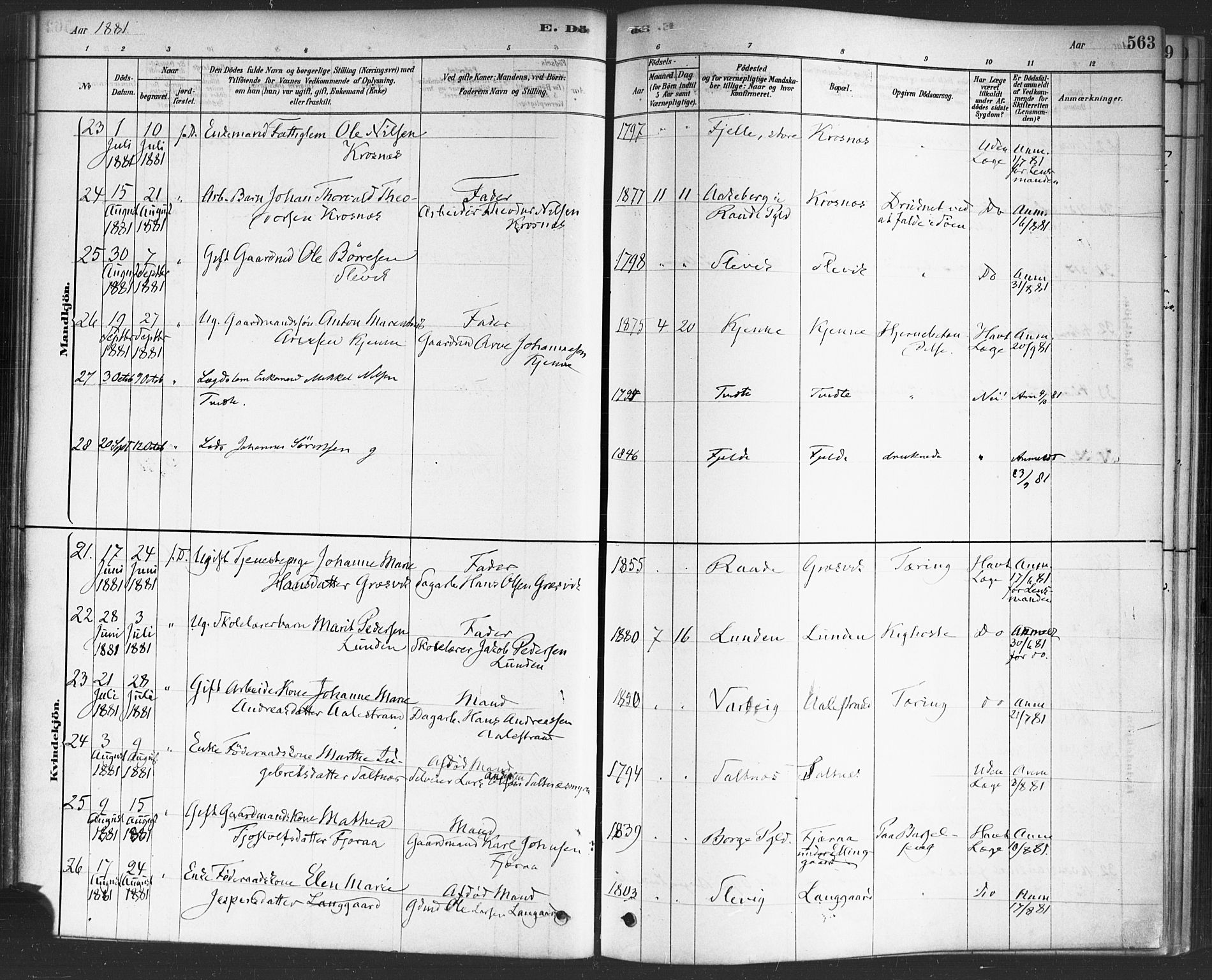 Onsøy prestekontor Kirkebøker, AV/SAO-A-10914/F/Fa/L0006: Parish register (official) no. I 6, 1878-1898, p. 564