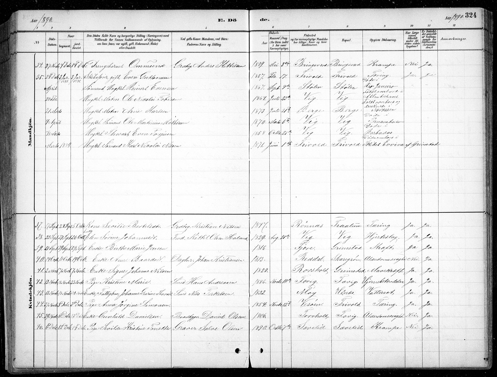 Fjære sokneprestkontor, AV/SAK-1111-0011/F/Fb/L0011: Parish register (copy) no. B 11, 1881-1905, p. 324