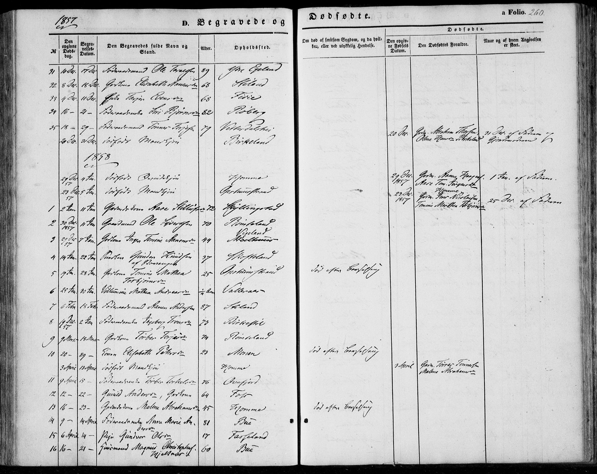 Sør-Audnedal sokneprestkontor, AV/SAK-1111-0039/F/Fa/Fab/L0007: Parish register (official) no. A 7, 1855-1876, p. 260