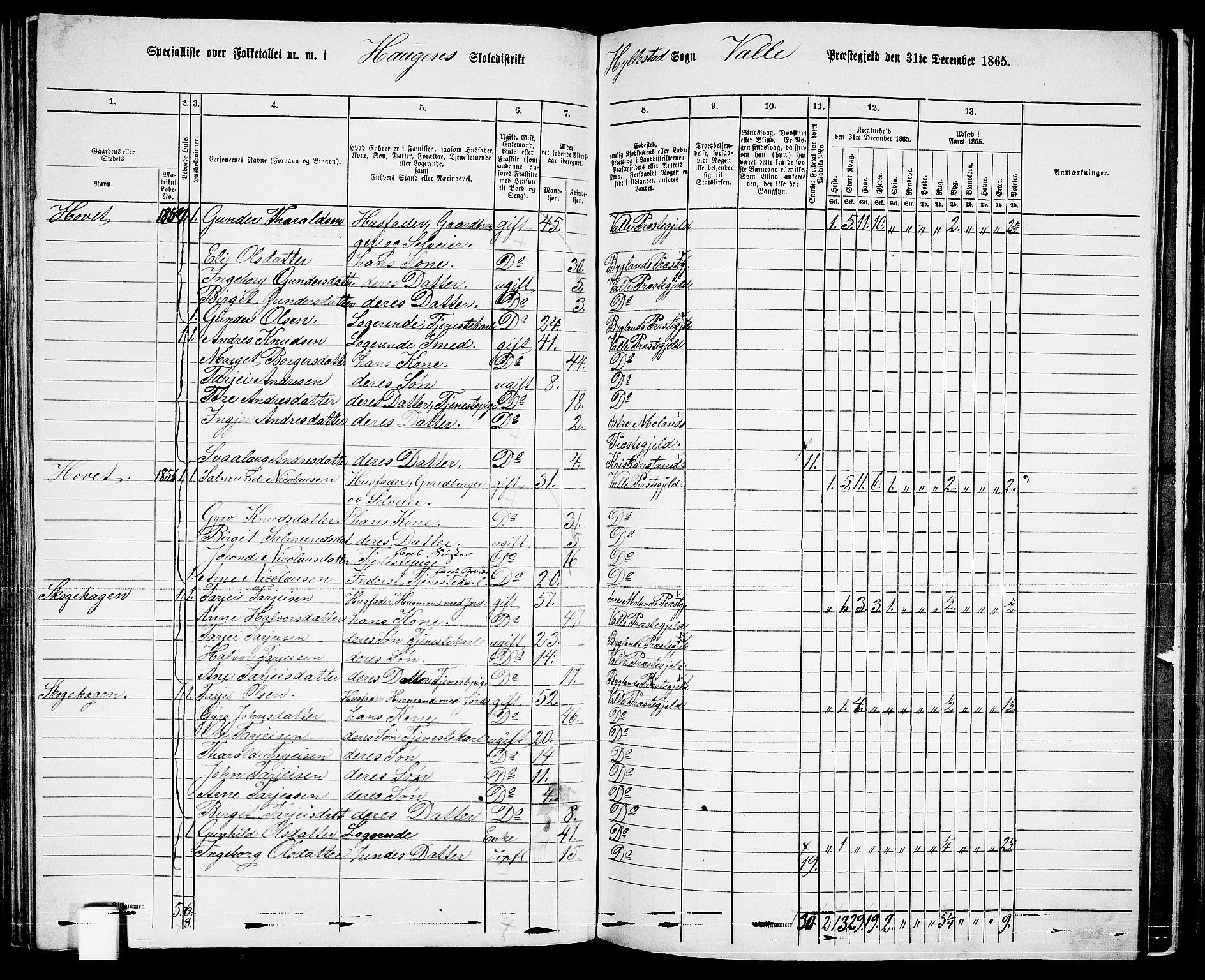 RA, 1865 census for Valle, 1865, p. 113