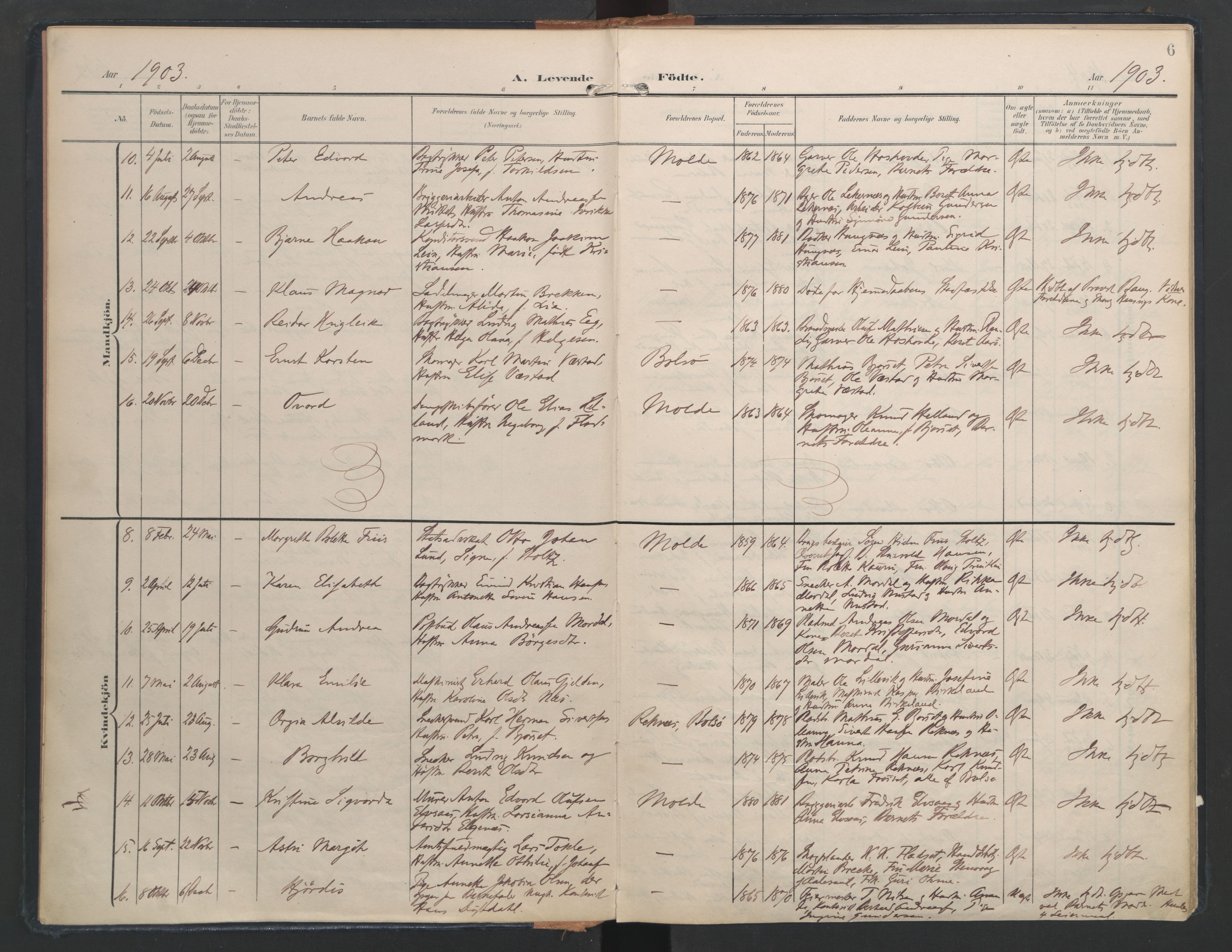 Ministerialprotokoller, klokkerbøker og fødselsregistre - Møre og Romsdal, AV/SAT-A-1454/558/L0693: Parish register (official) no. 558A07, 1903-1917, p. 6