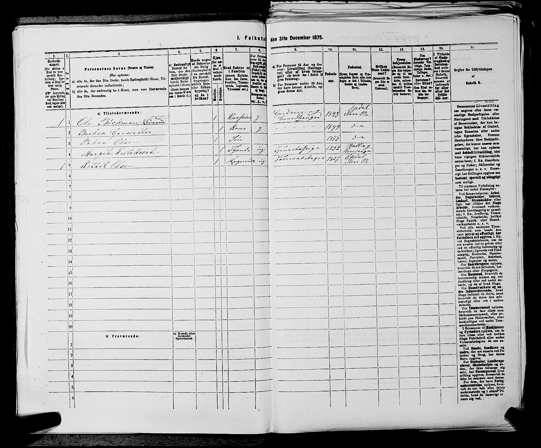 SAKO, 1875 census for 0633P Nore, 1875, p. 491