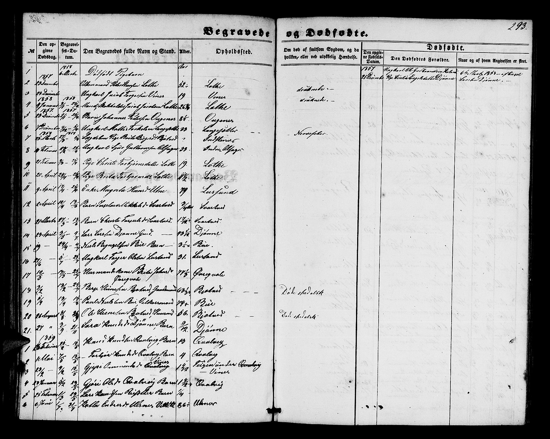 Ullensvang sokneprestembete, SAB/A-78701/H/Hab: Parish register (copy) no. E 6, 1857-1886, p. 293