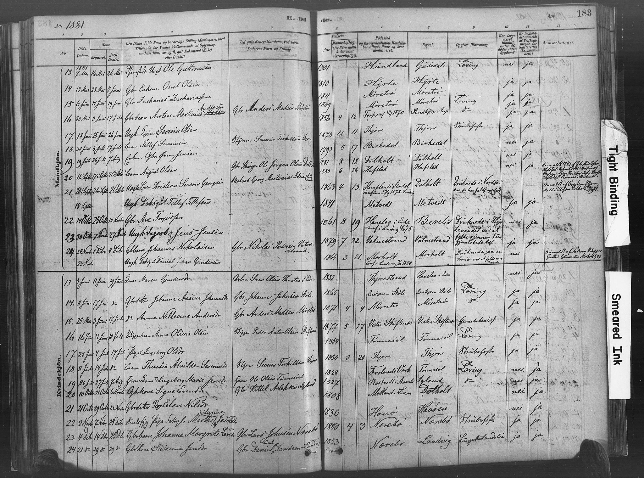 Hommedal sokneprestkontor, SAK/1111-0023/F/Fa/Fab/L0006: Parish register (official) no. A 6, 1878-1897, p. 183