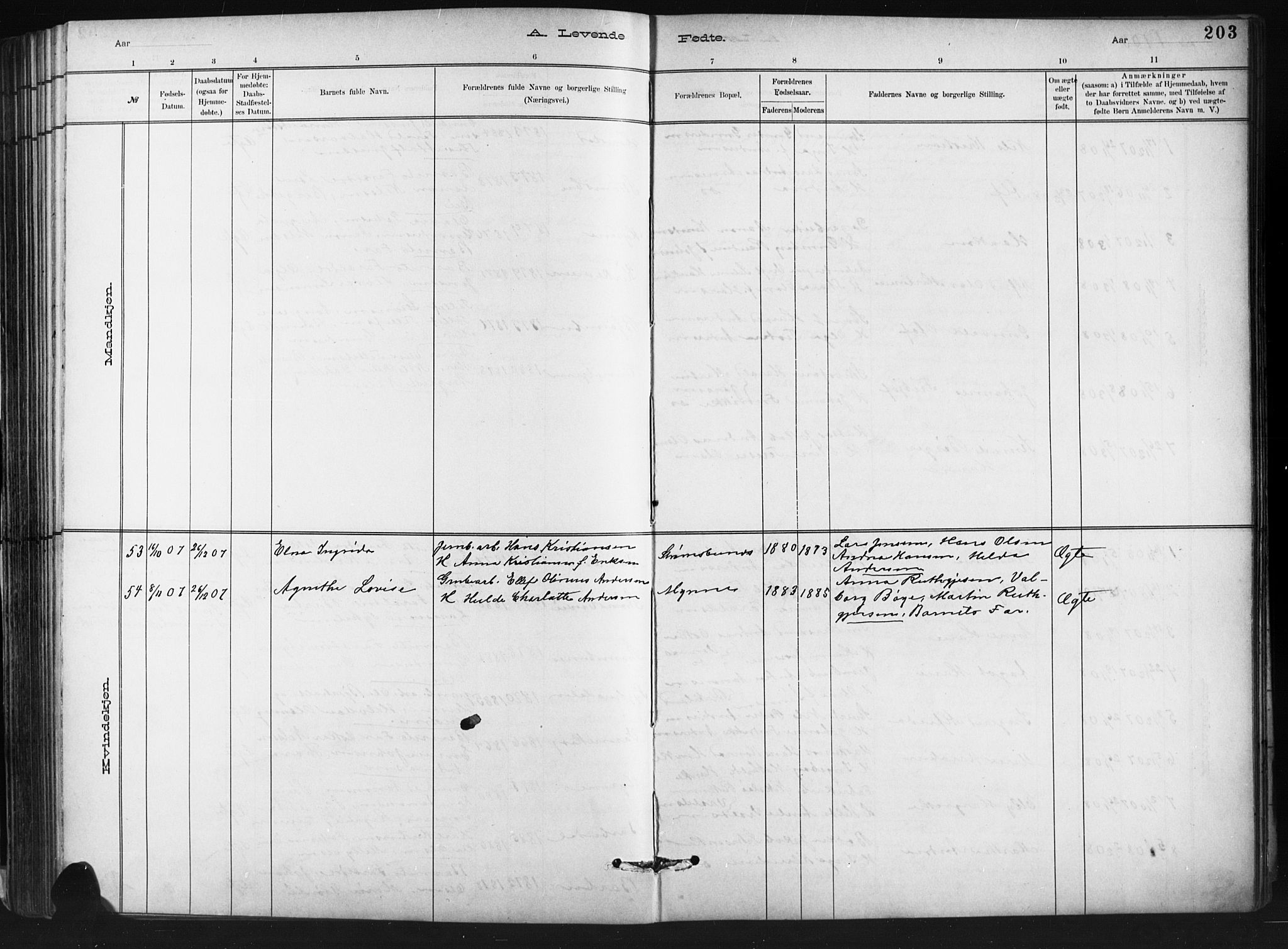 Barbu sokneprestkontor, AV/SAK-1111-0003/F/Fb/L0002: Parish register (copy) no. B 2, 1890-1922, p. 203