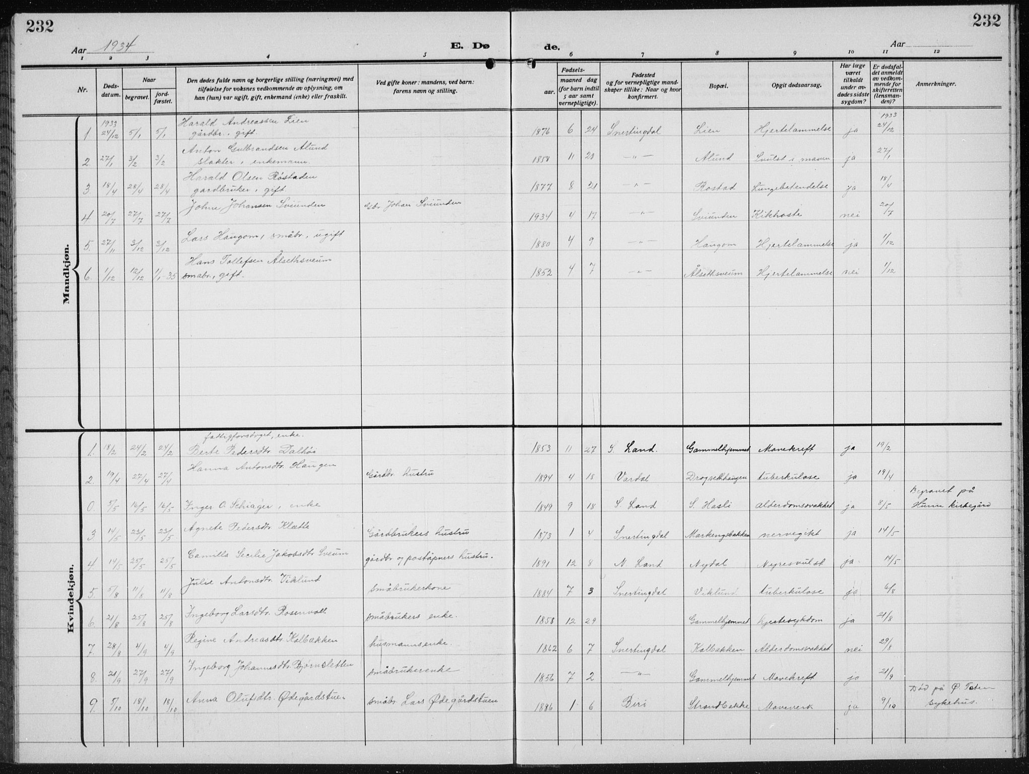 Biri prestekontor, SAH/PREST-096/H/Ha/Hab/L0007: Parish register (copy) no. 7, 1919-1941, p. 232