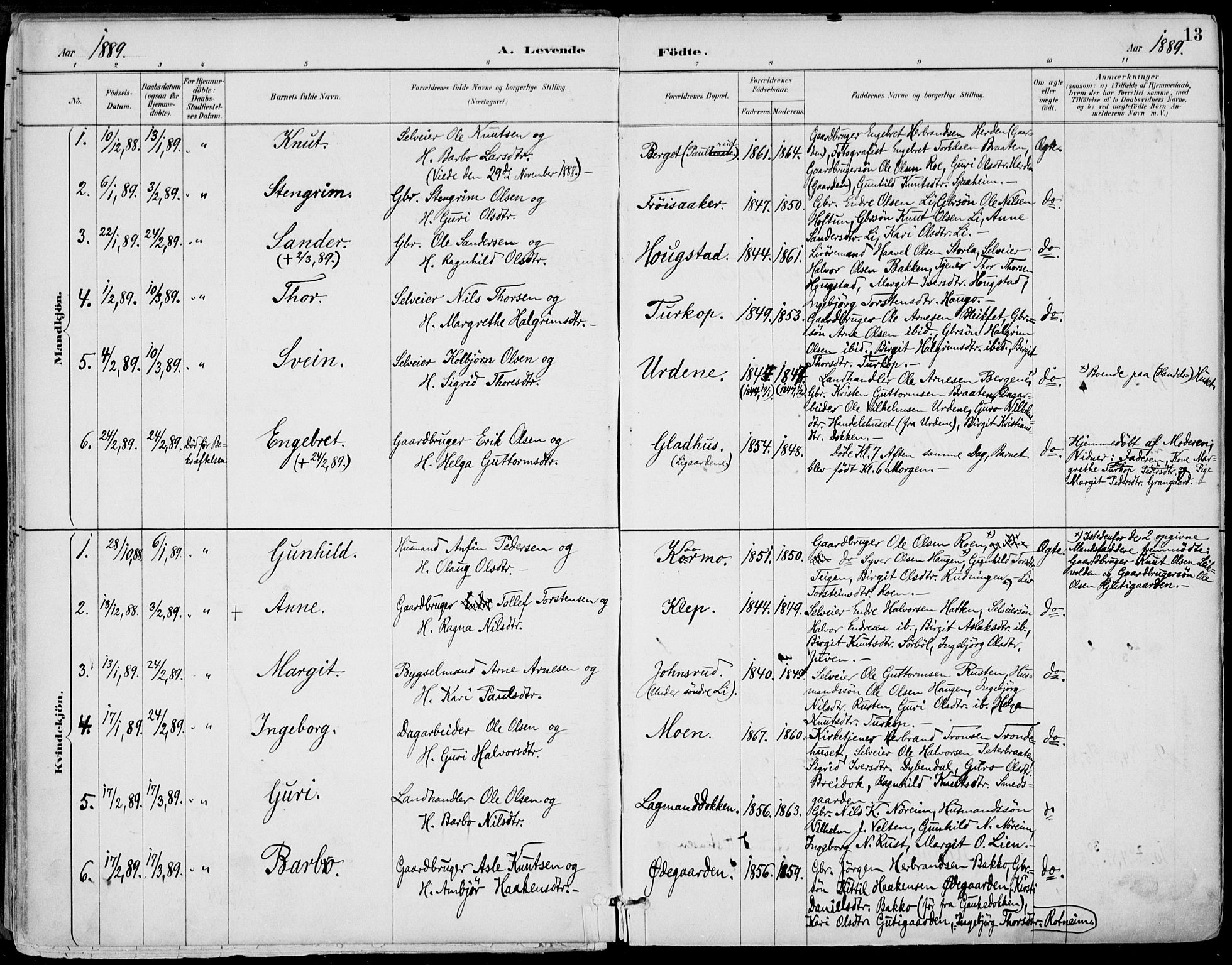 Gol kirkebøker, SAKO/A-226/F/Fa/L0005: Parish register (official) no. I 5, 1887-1900, p. 13