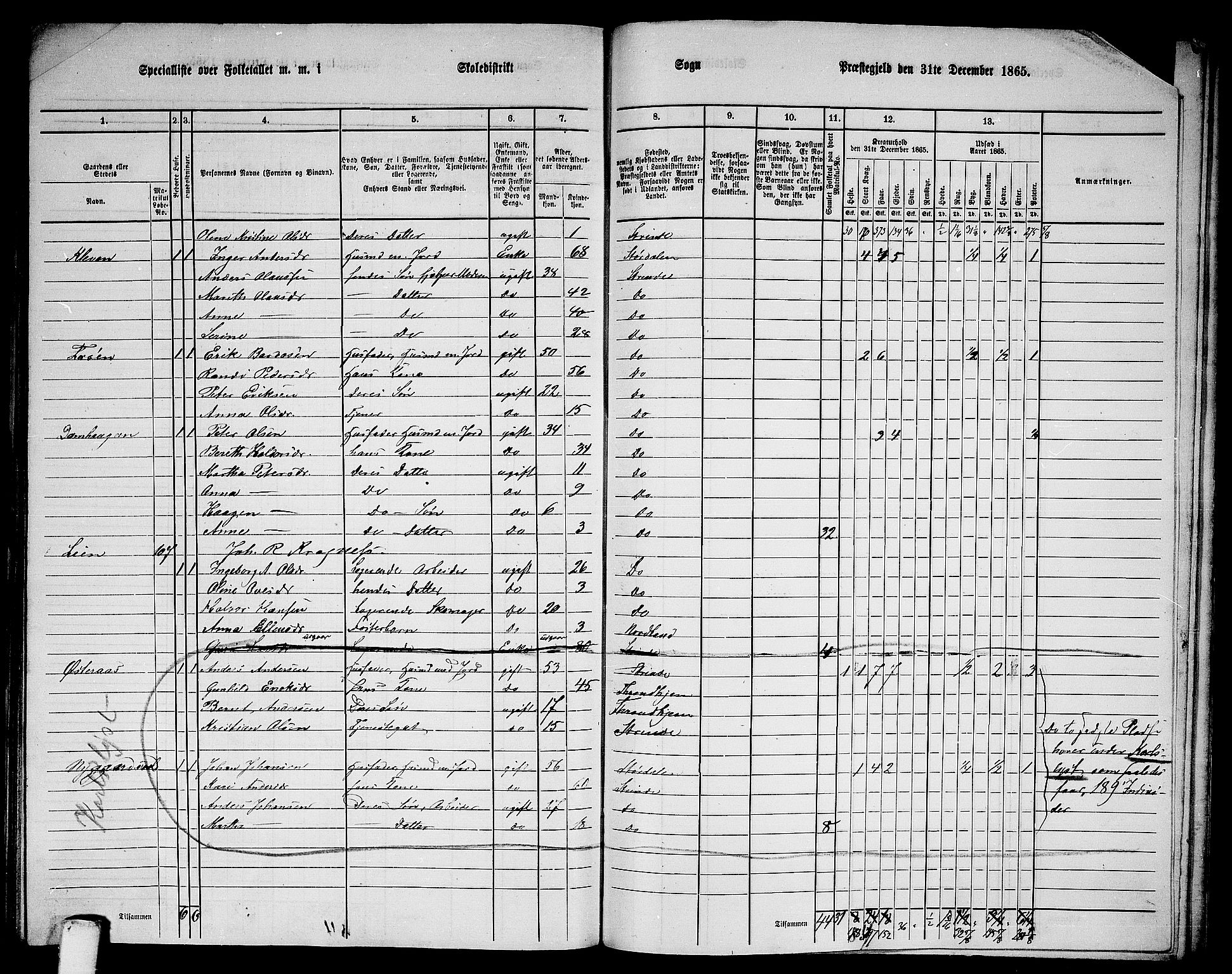 RA, 1865 census for Strinda, 1865, p. 249