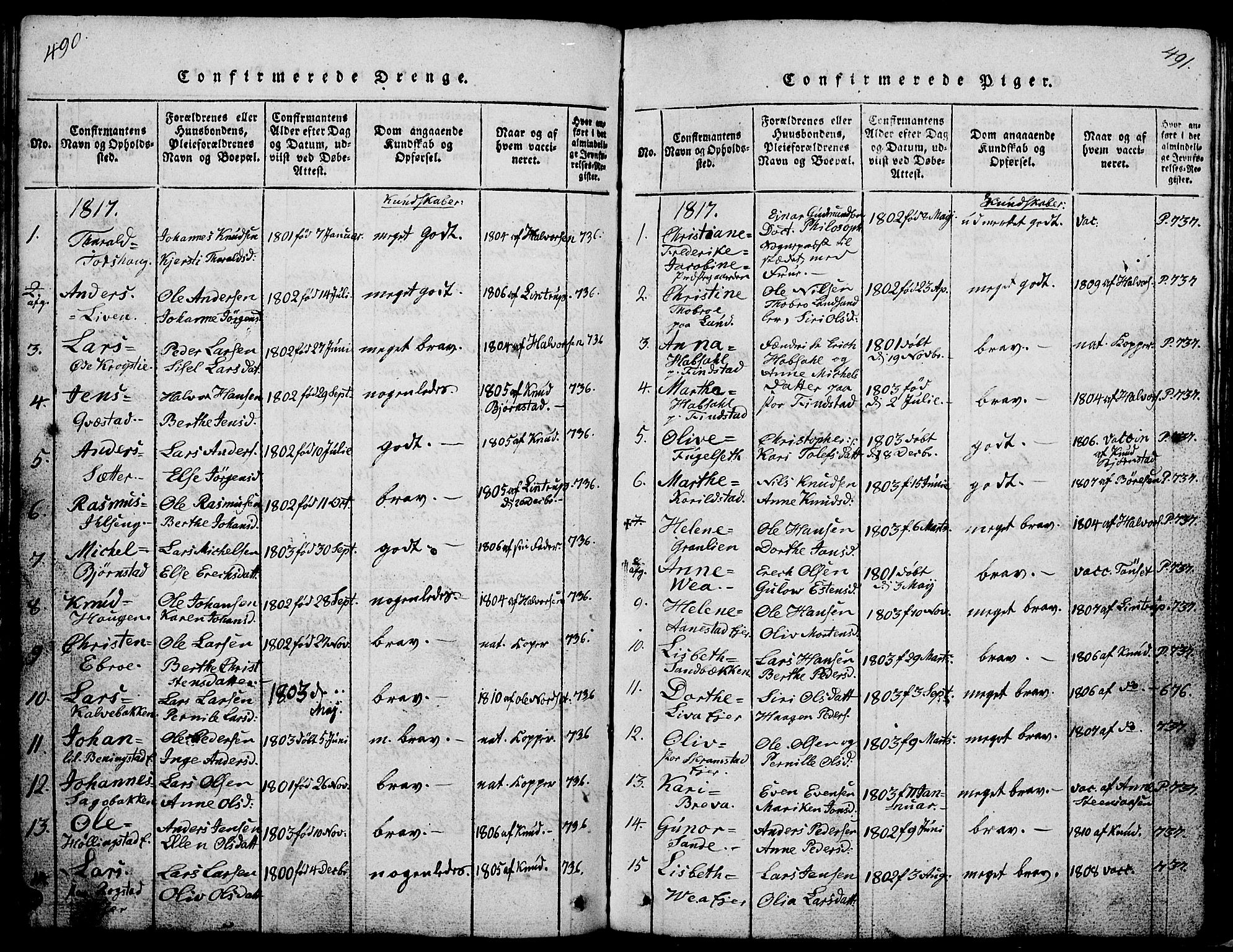 Løten prestekontor, SAH/PREST-022/L/La/L0001: Parish register (copy) no. 1, 1812-1832, p. 490-491