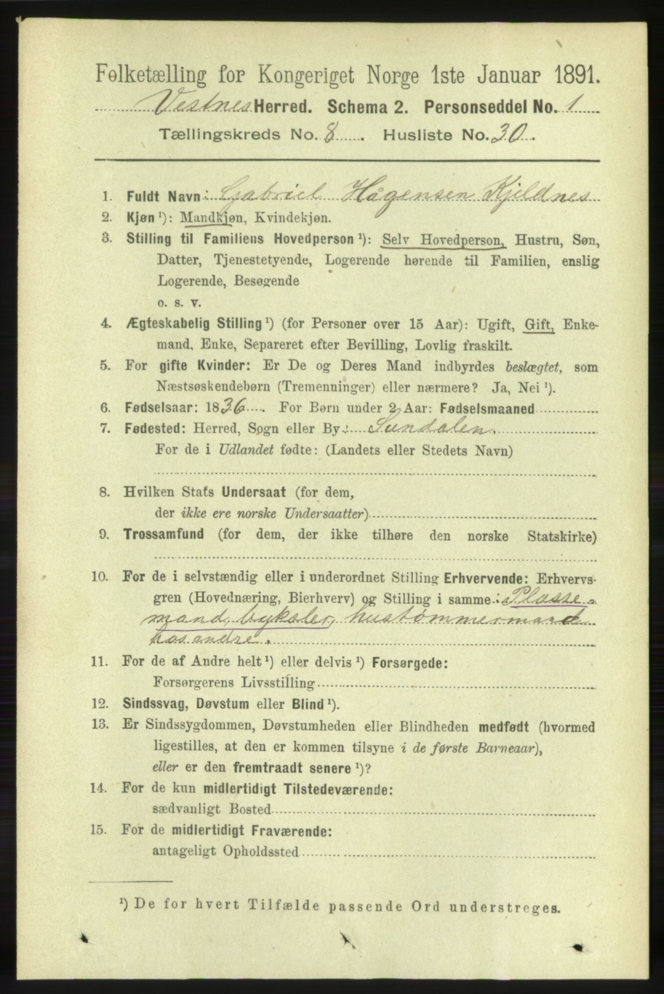 RA, 1891 census for 1535 Vestnes, 1891, p. 3313