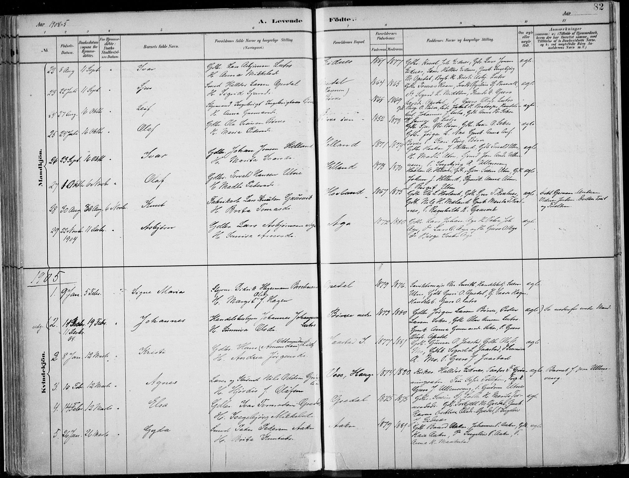 Ullensvang sokneprestembete, SAB/A-78701/H/Haa: Parish register (official) no. B  1, 1882-1918, p. 82