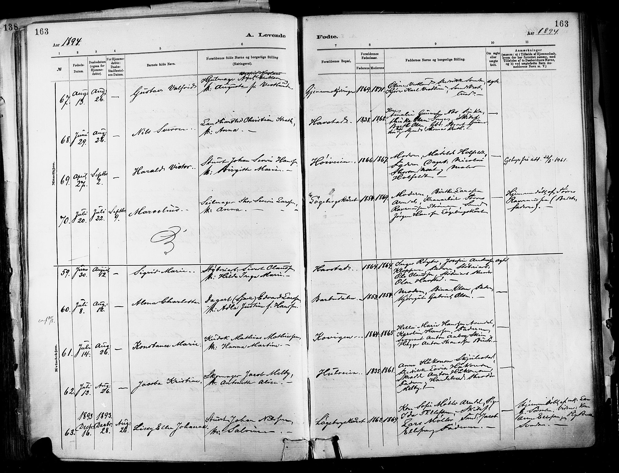 Barbu sokneprestkontor, SAK/1111-0003/F/Fa/L0002: Parish register (official) no. A 2, 1883-1898, p. 163