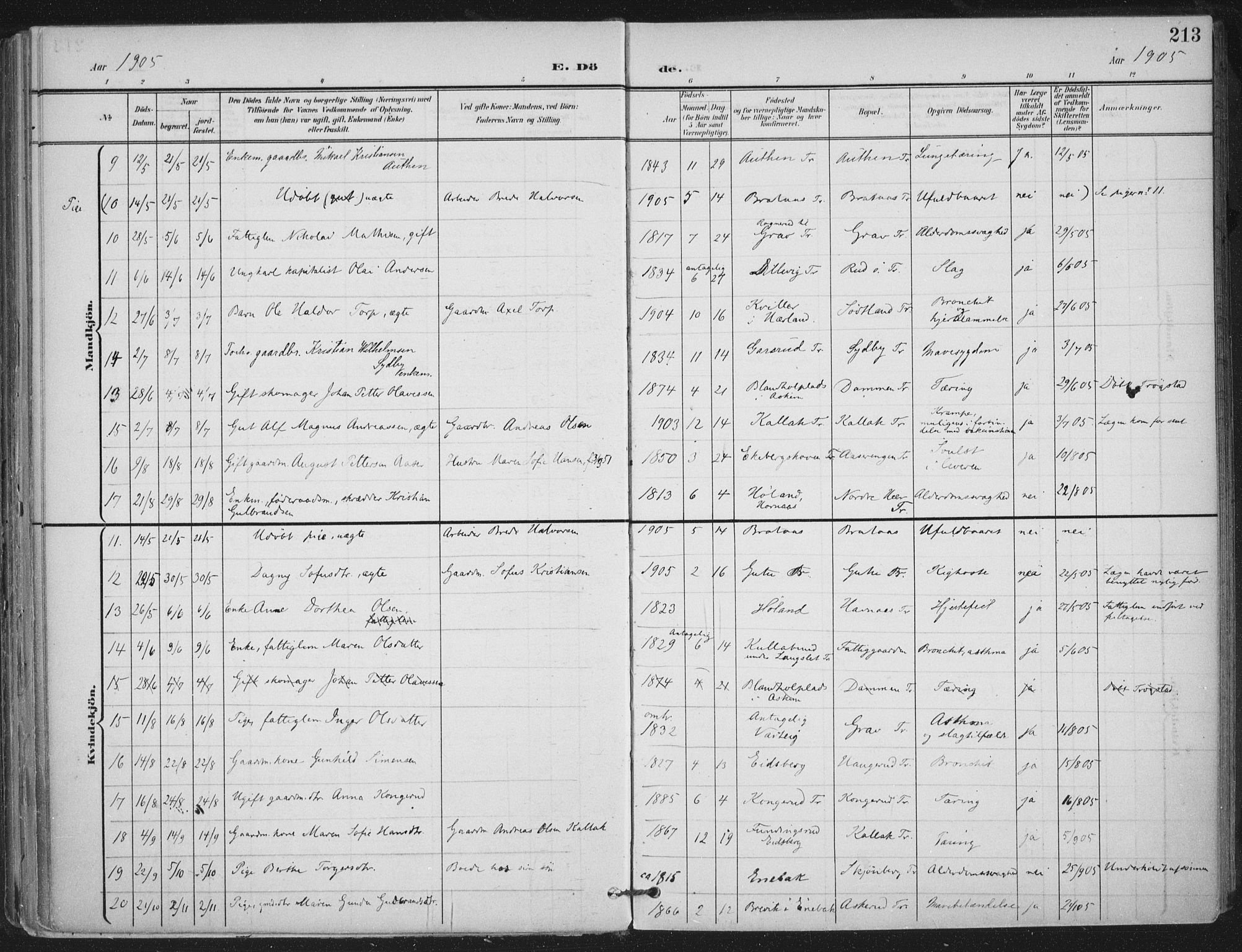 Trøgstad prestekontor Kirkebøker, AV/SAO-A-10925/F/Fa/L0011: Parish register (official) no. I 11, 1899-1919, p. 213