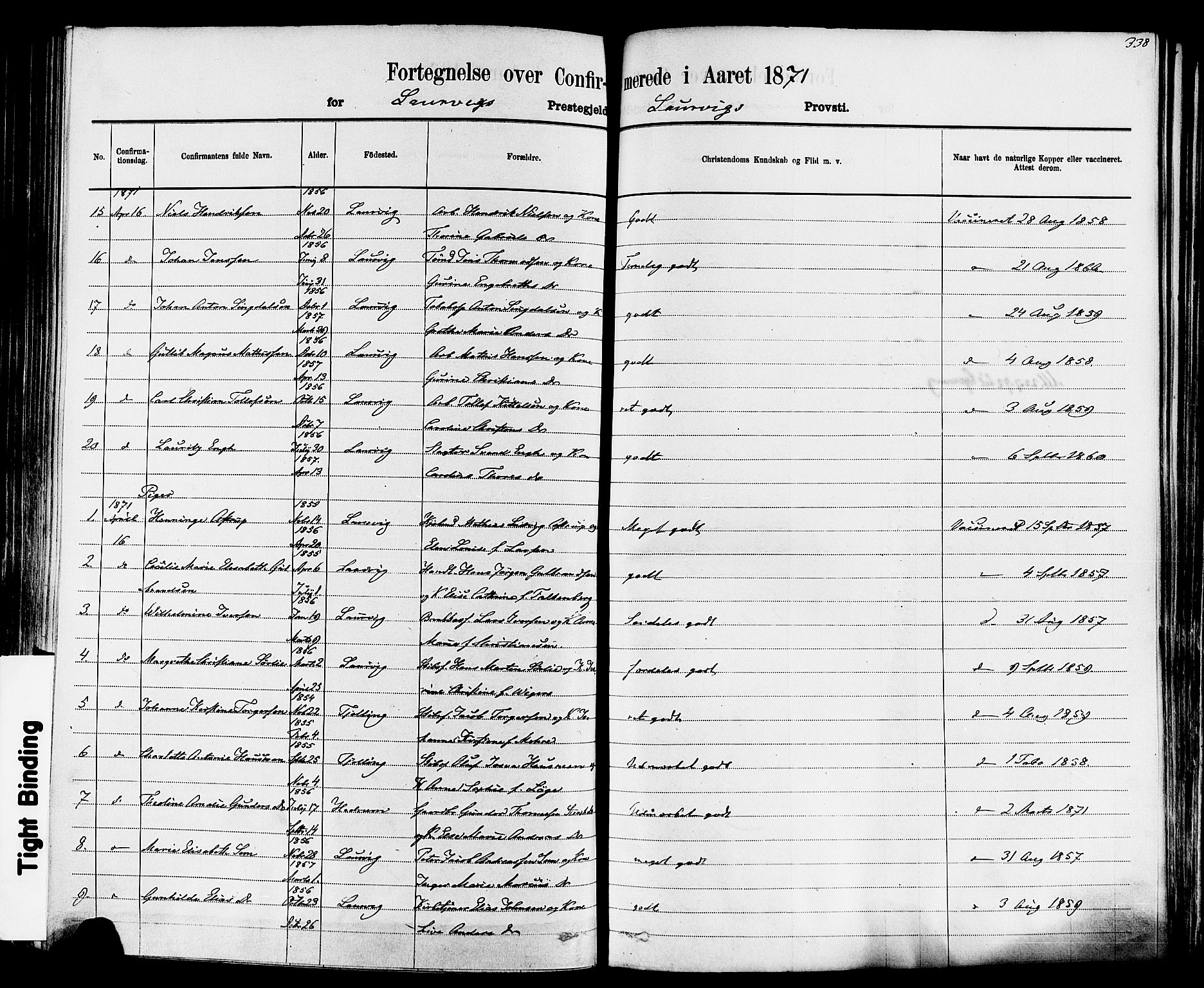 Larvik kirkebøker, SAKO/A-352/F/Fa/L0006: Parish register (official) no. I 6, 1871-1883, p. 338