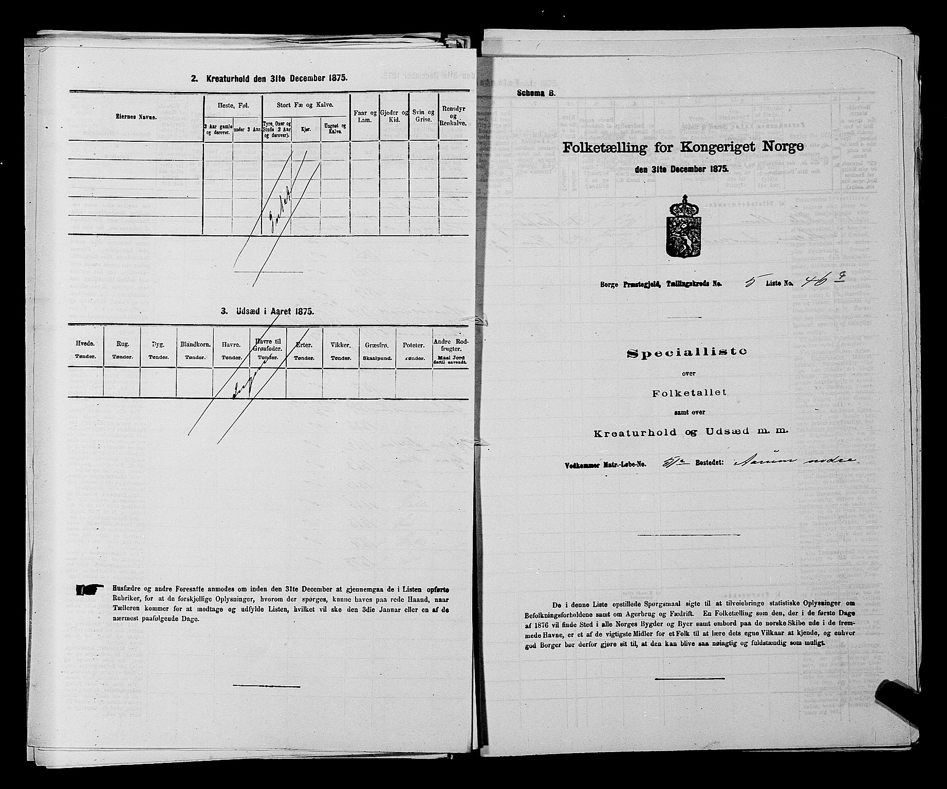 RA, 1875 census for 0113P Borge, 1875, p. 784