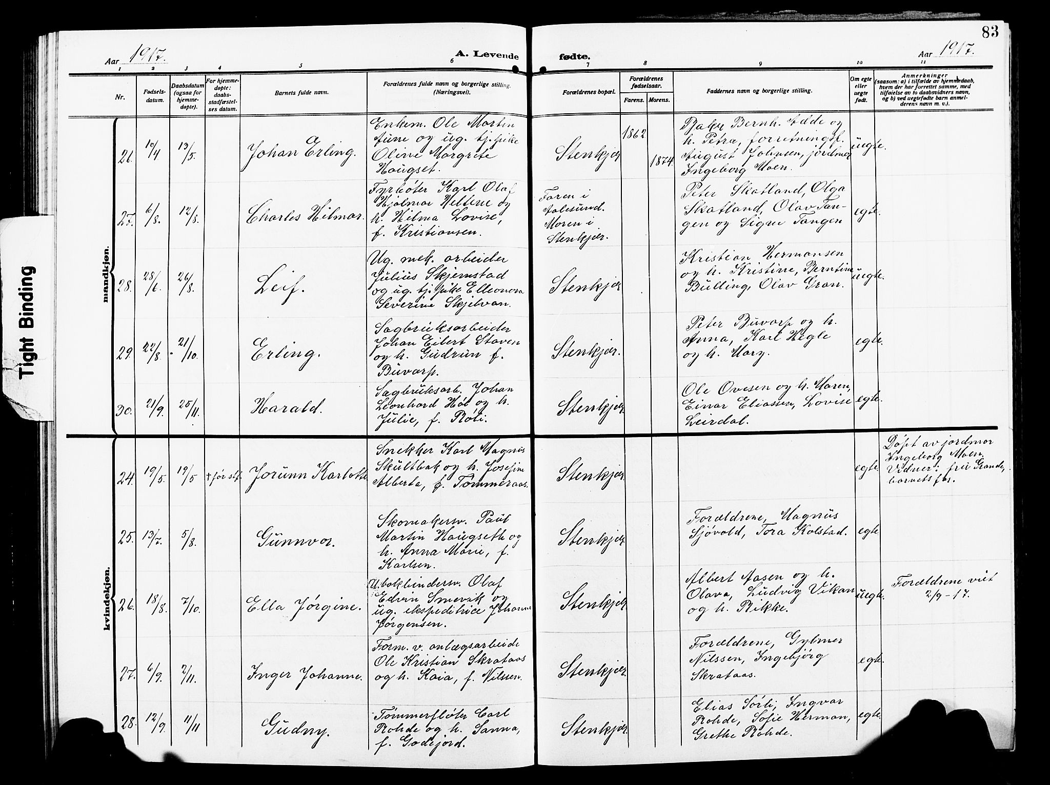 Ministerialprotokoller, klokkerbøker og fødselsregistre - Nord-Trøndelag, AV/SAT-A-1458/739/L0376: Parish register (copy) no. 739C04, 1908-1917, p. 83