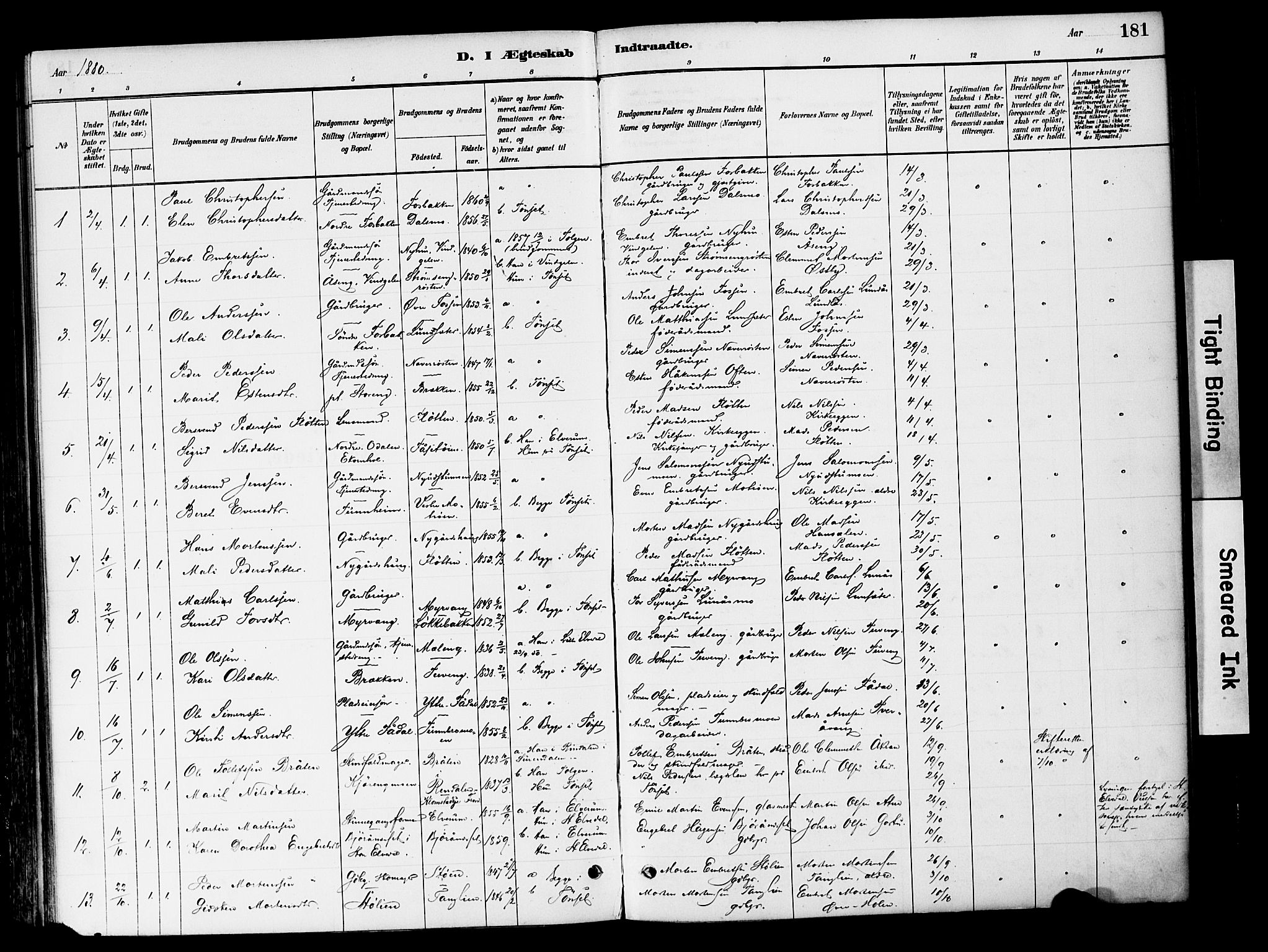 Tynset prestekontor, SAH/PREST-058/H/Ha/Haa/L0022: Parish register (official) no. 22, 1880-1899, p. 181