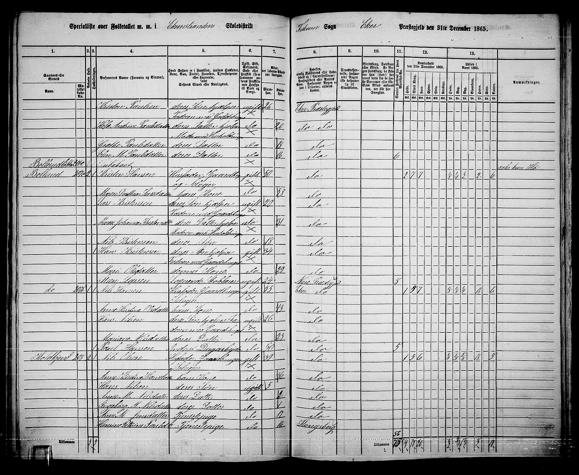RA, 1865 census for Eiker, 1865, p. 490