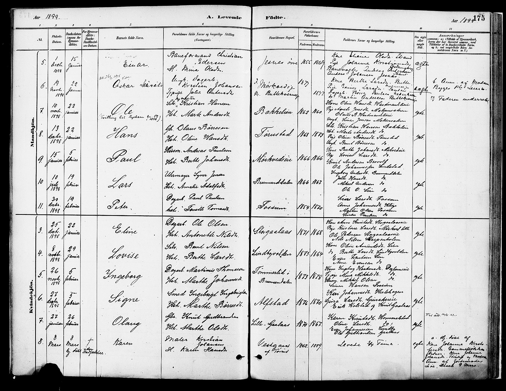 Vang prestekontor, Hedmark, AV/SAH-PREST-008/H/Ha/Haa/L0018A: Parish register (official) no. 18A, 1880-1906, p. 175