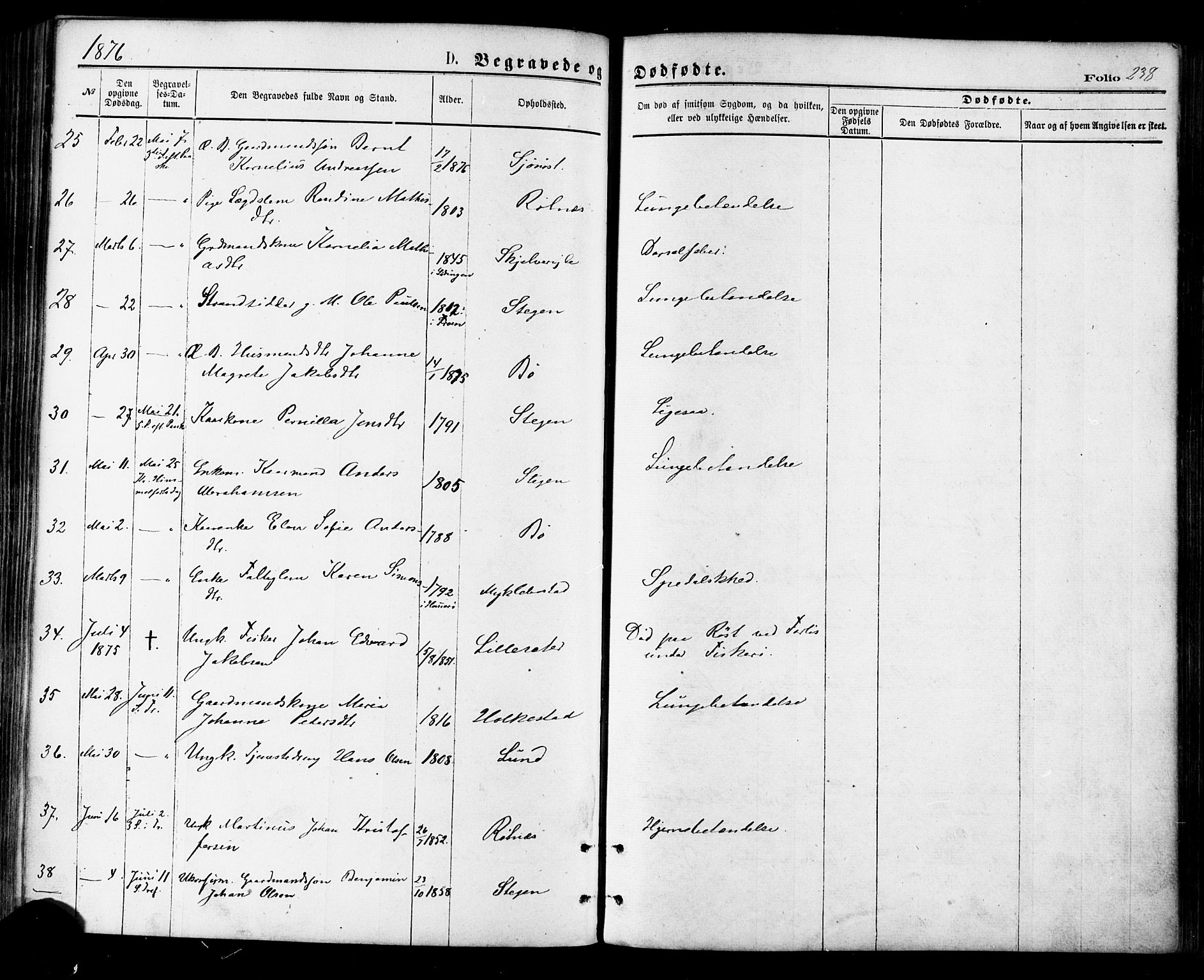 Ministerialprotokoller, klokkerbøker og fødselsregistre - Nordland, SAT/A-1459/855/L0802: Parish register (official) no. 855A10, 1875-1886, p. 238