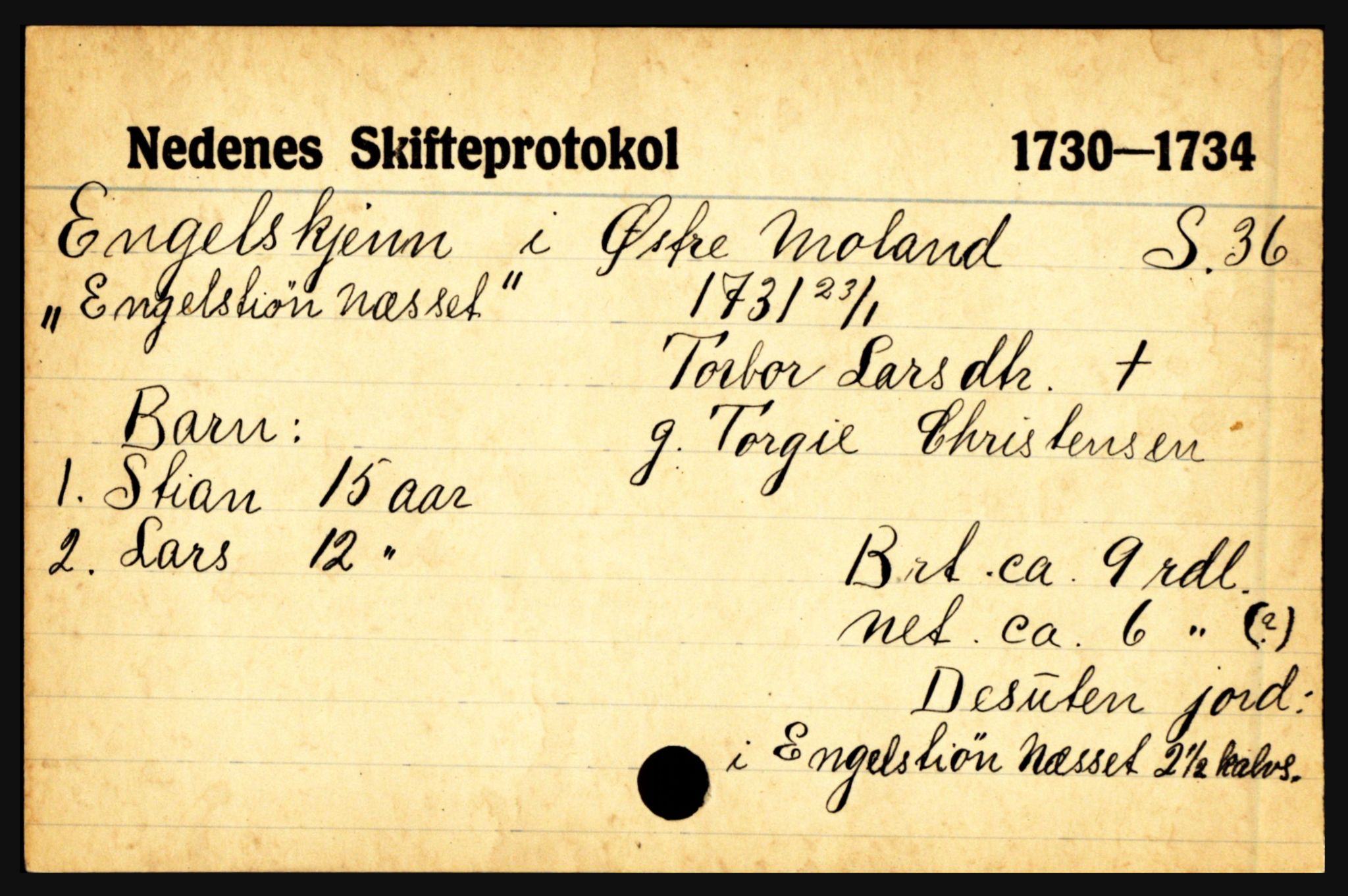 Nedenes sorenskriveri før 1824, AV/SAK-1221-0007/H, p. 6065