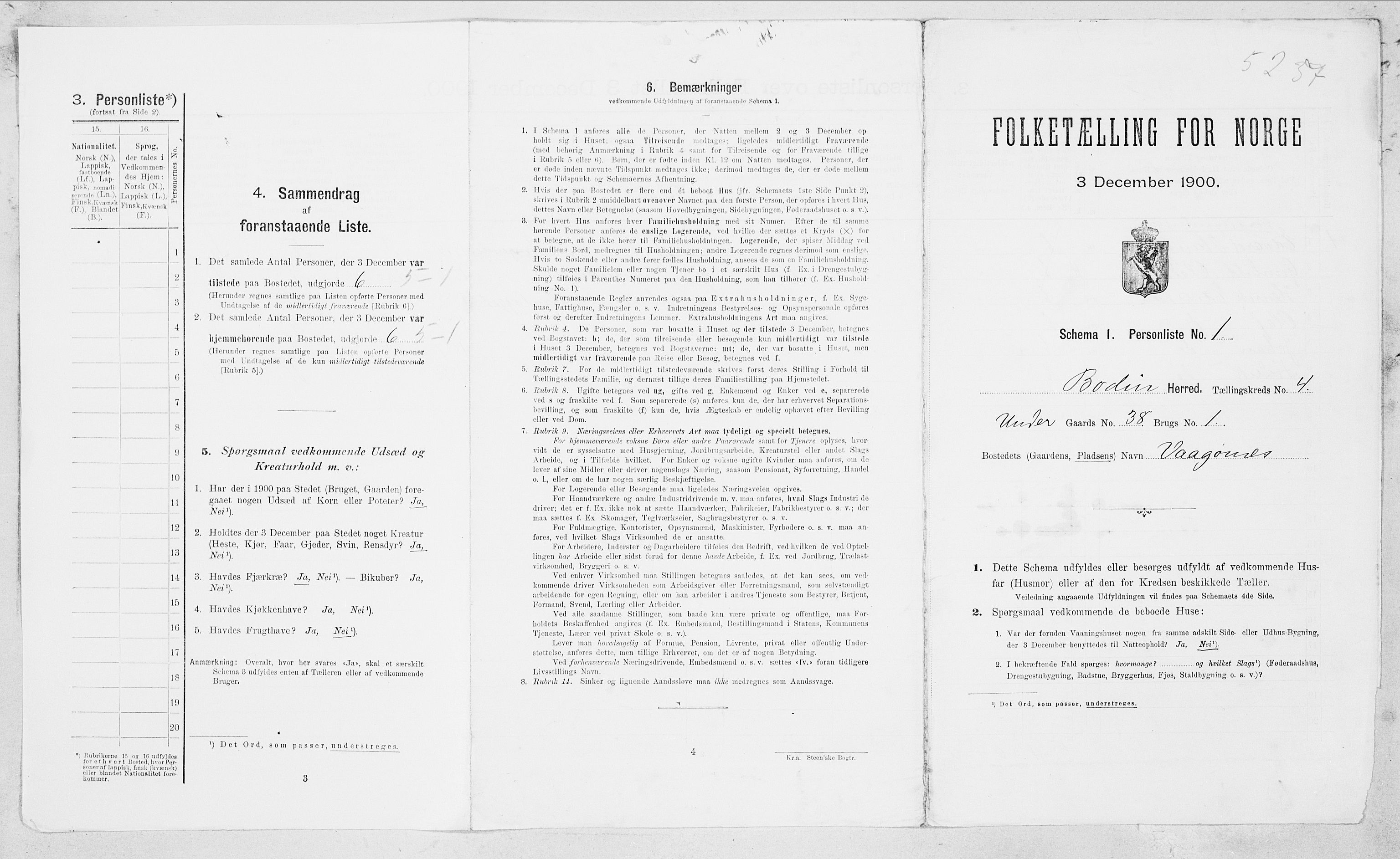 SAT, 1900 census for Bodin, 1900, p. 316