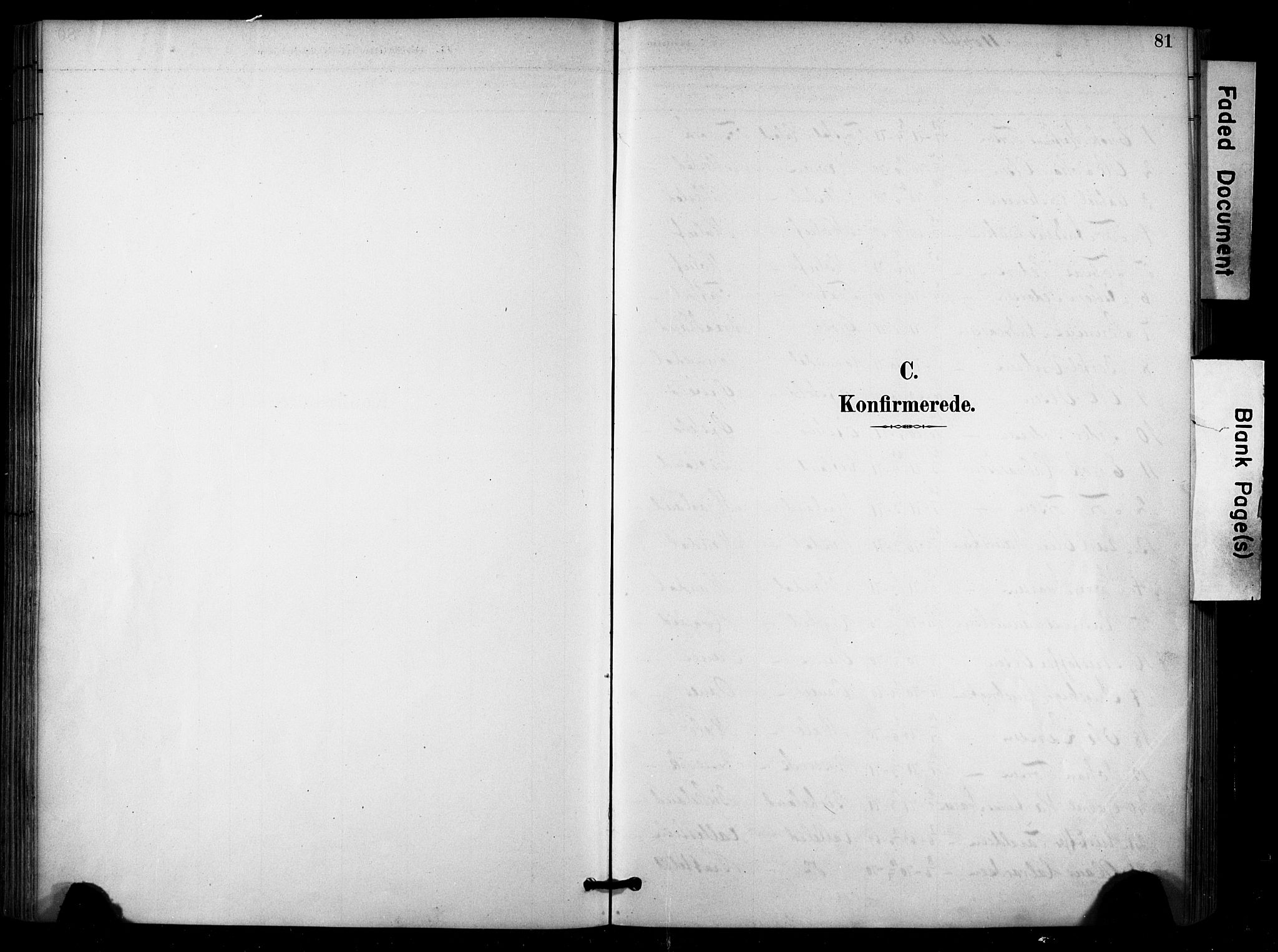 Høgsfjord sokneprestkontor, SAST/A-101624/H/Ha/Haa/L0006: Parish register (official) no. A 6, 1885-1897, p. 81