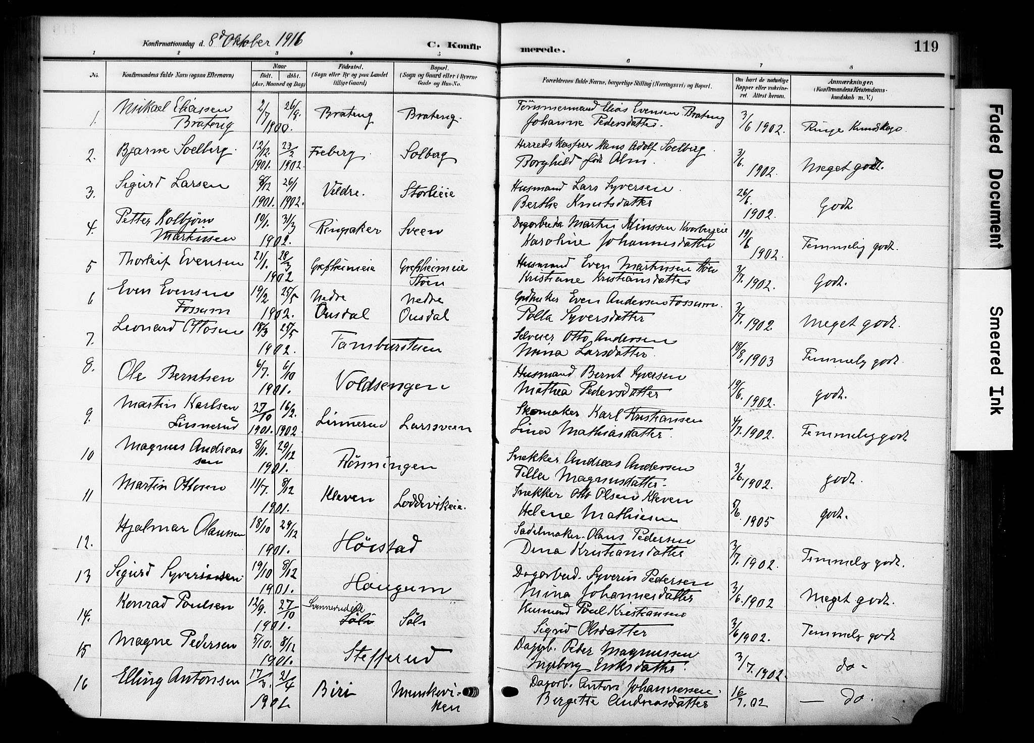 Nes prestekontor, Hedmark, AV/SAH-PREST-020/K/Ka/L0014: Parish register (official) no. 14, 1906-1929, p. 119