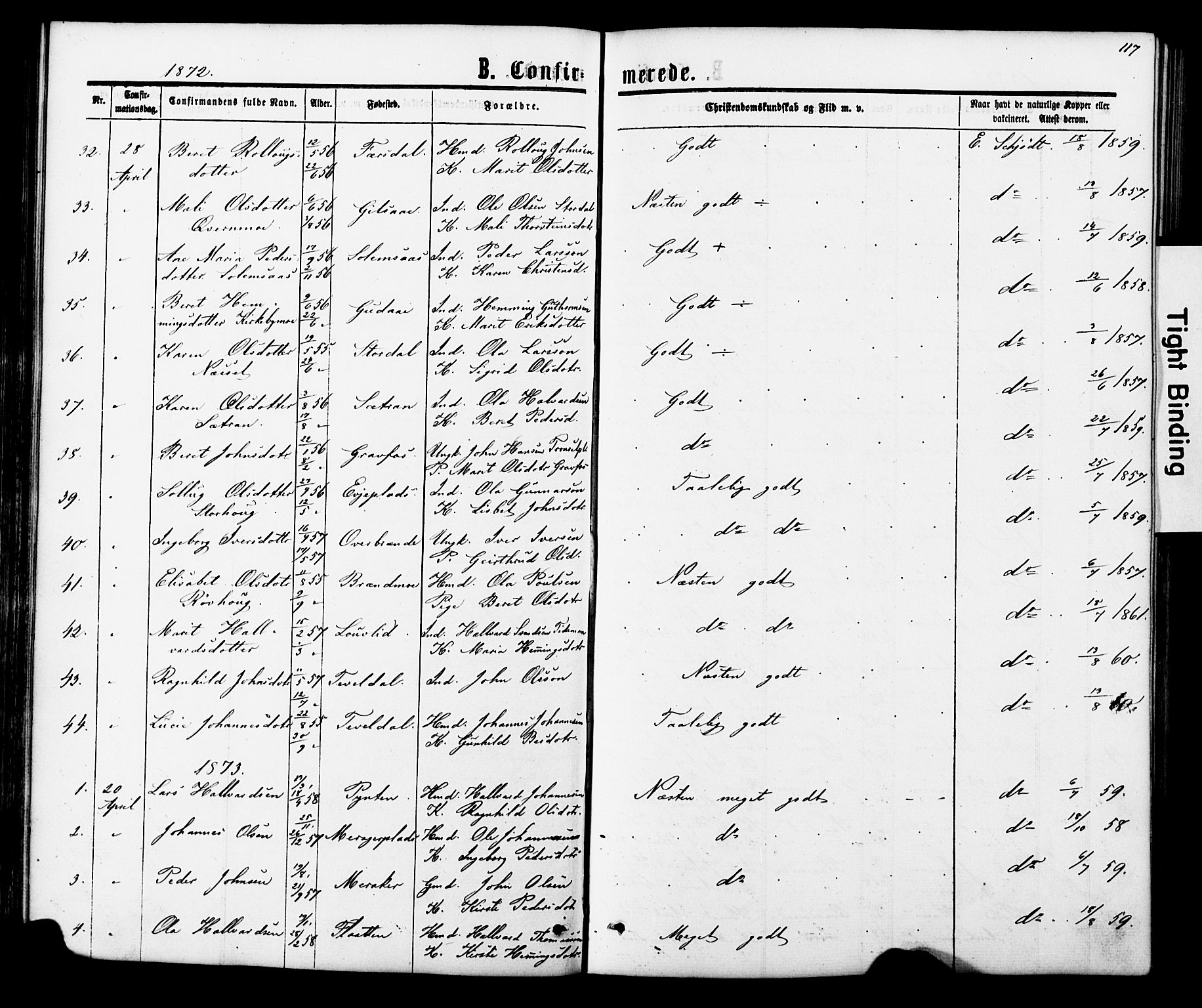 Ministerialprotokoller, klokkerbøker og fødselsregistre - Nord-Trøndelag, SAT/A-1458/706/L0049: Parish register (copy) no. 706C01, 1864-1895, p. 117