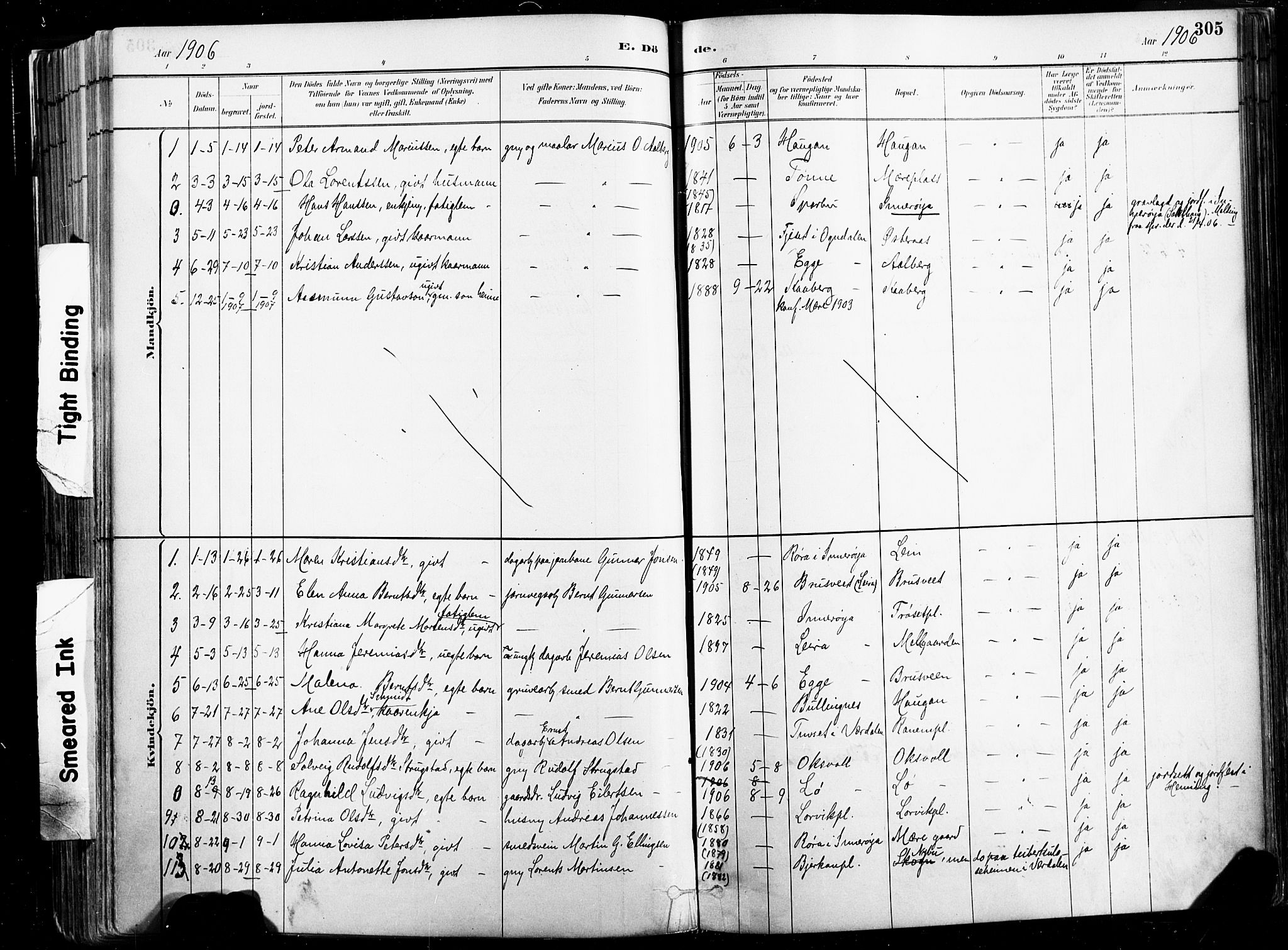 Ministerialprotokoller, klokkerbøker og fødselsregistre - Nord-Trøndelag, SAT/A-1458/735/L0351: Parish register (official) no. 735A10, 1884-1908, p. 305