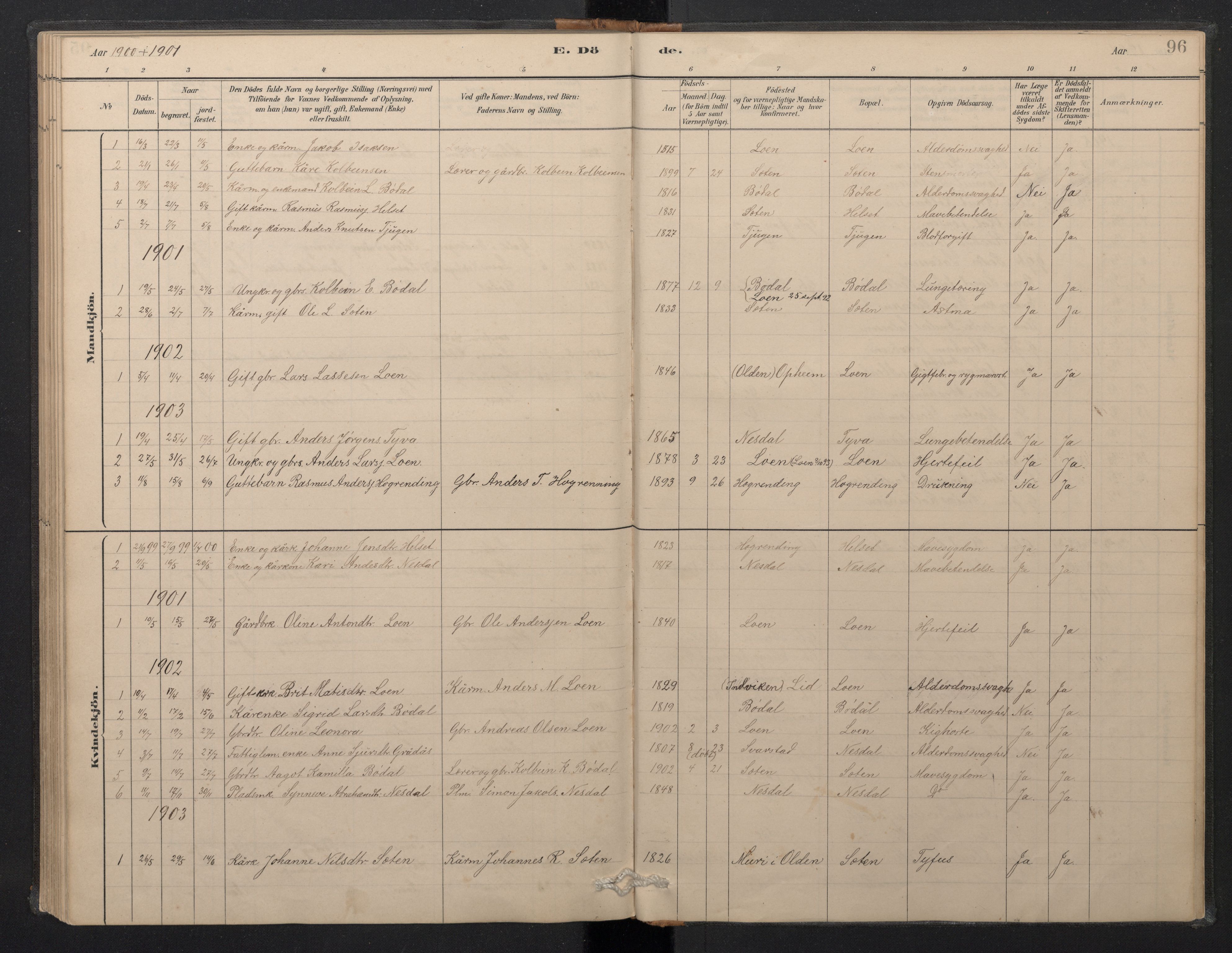 Stryn Sokneprestembete, AV/SAB-A-82501: Parish register (copy) no. B 3, 1881-1918, p. 95b-96a