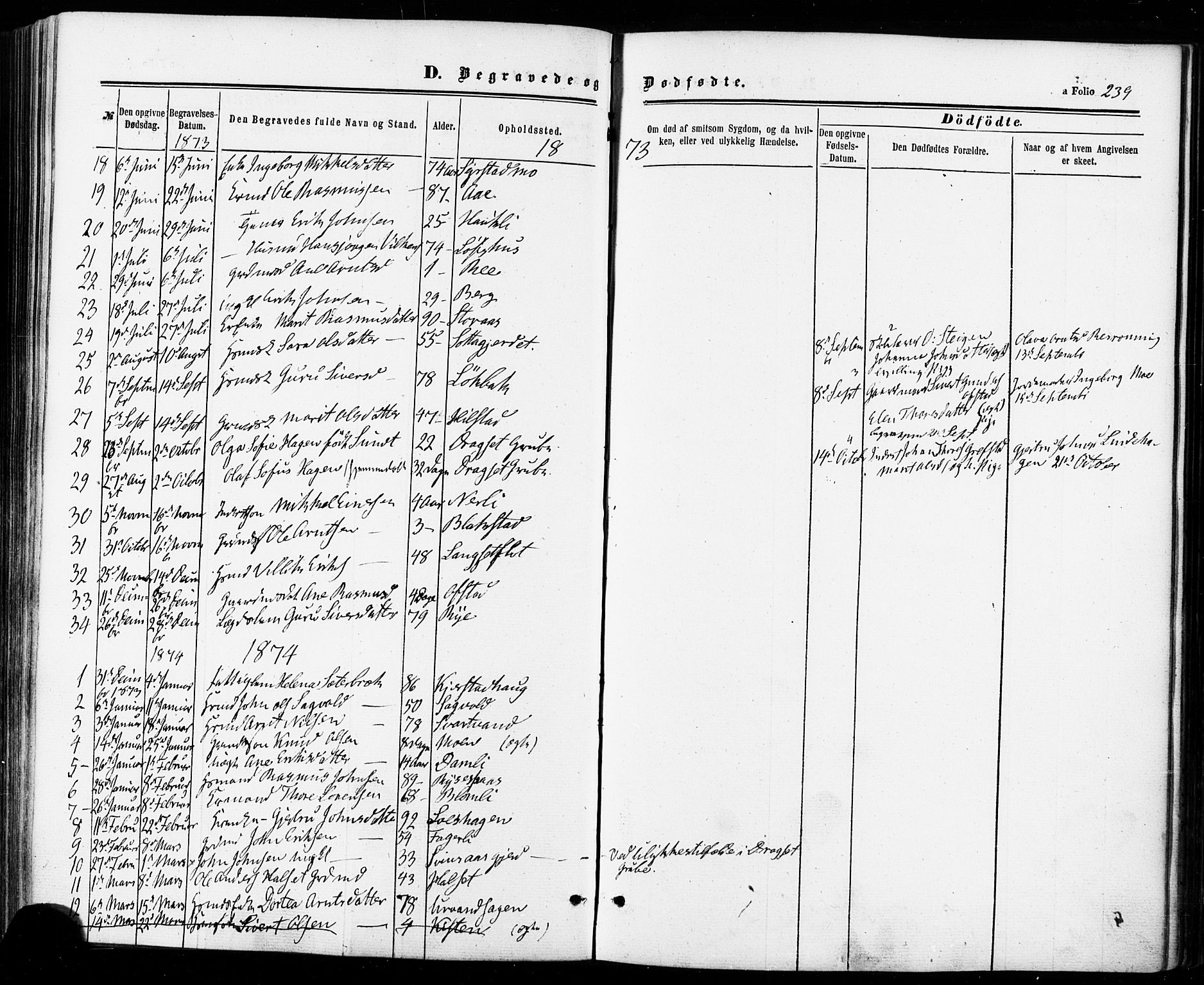 Ministerialprotokoller, klokkerbøker og fødselsregistre - Sør-Trøndelag, SAT/A-1456/672/L0856: Parish register (official) no. 672A08, 1861-1881, p. 239