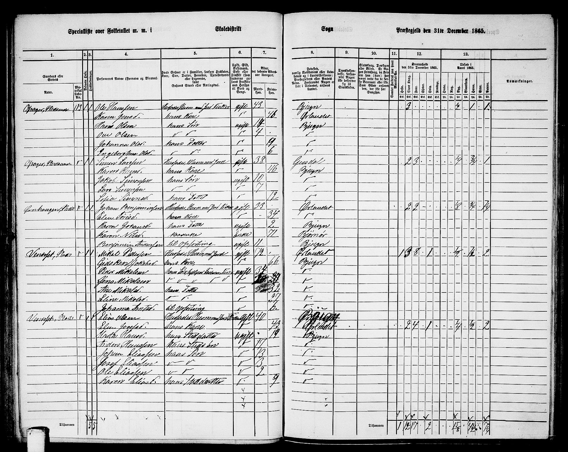 RA, 1865 census for Bjugn, 1865, p. 61