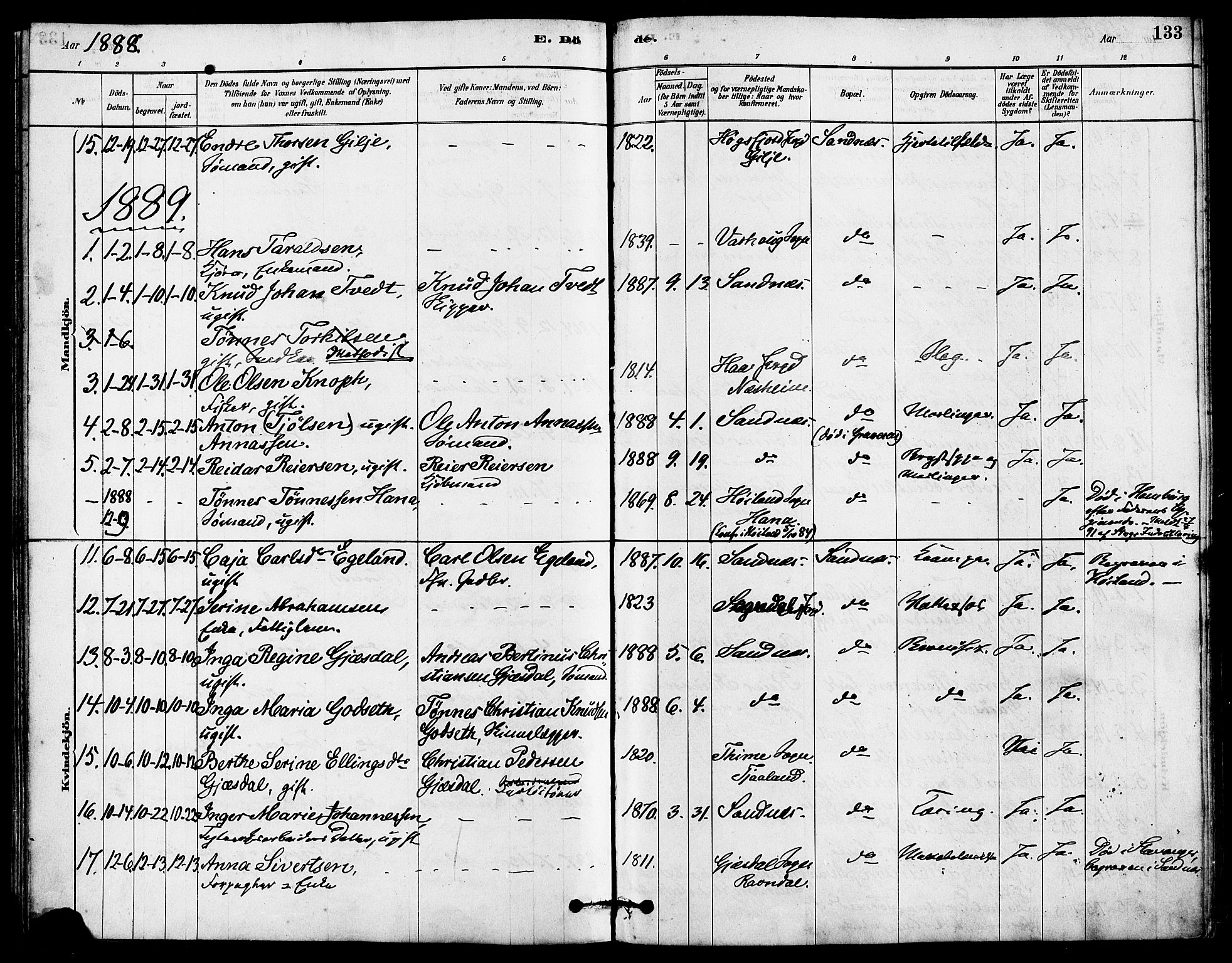 Høyland sokneprestkontor, SAST/A-101799/001/30BA/L0012: Parish register (official) no. A 11, 1878-1889, p. 133