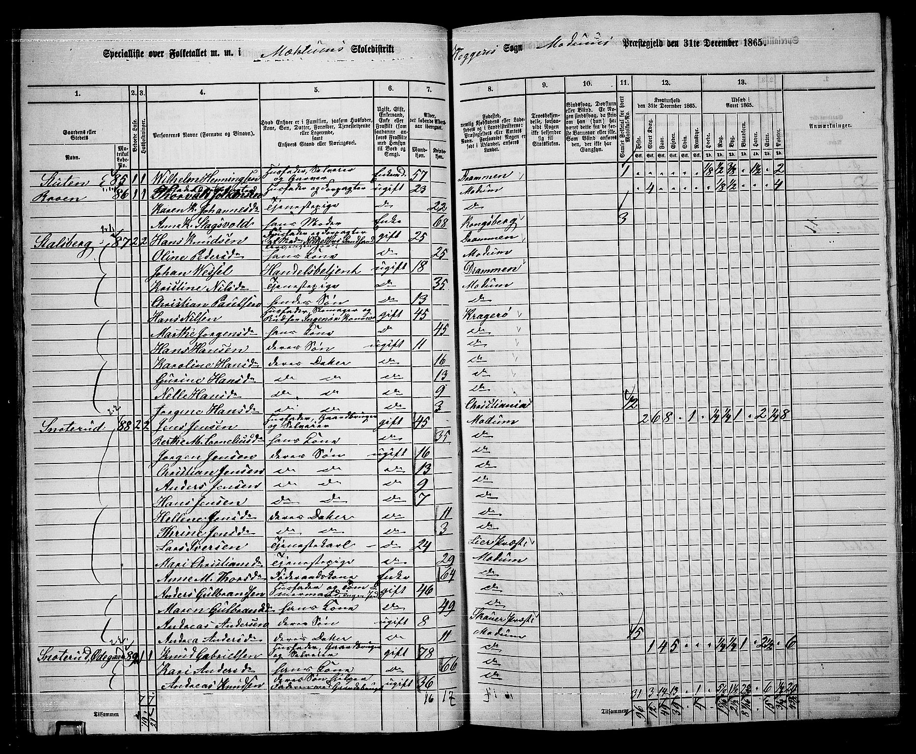 RA, 1865 census for Modum, 1865, p. 69