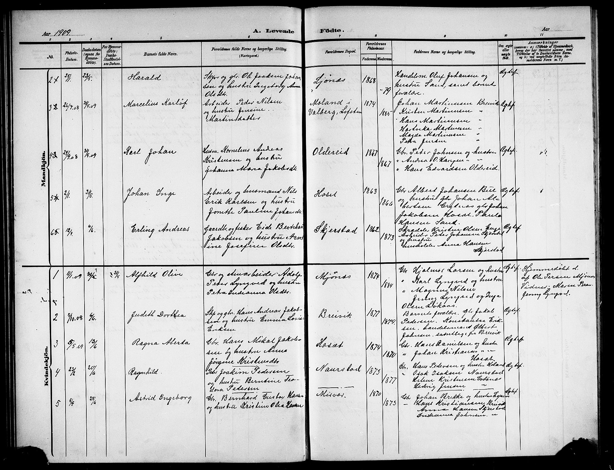 Ministerialprotokoller, klokkerbøker og fødselsregistre - Nordland, AV/SAT-A-1459/852/L0756: Parish register (copy) no. 852C07, 1902-1916