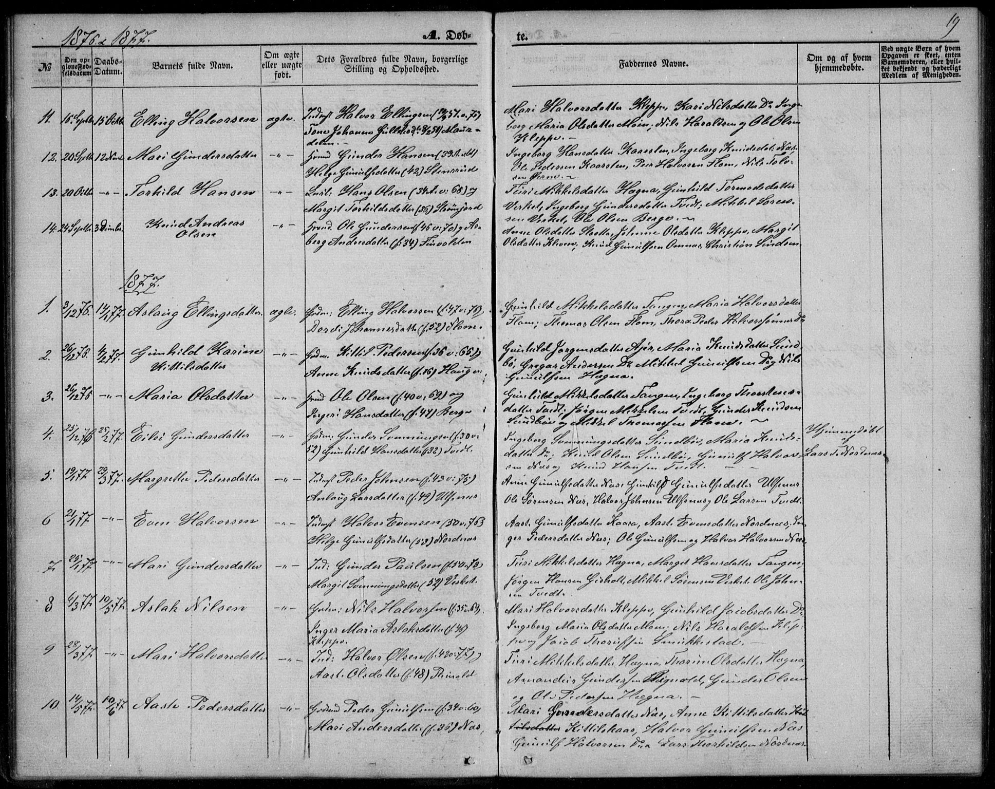 Lunde kirkebøker, SAKO/A-282/F/Fb/L0002: Parish register (official) no. II 2, 1861-1881, p. 19
