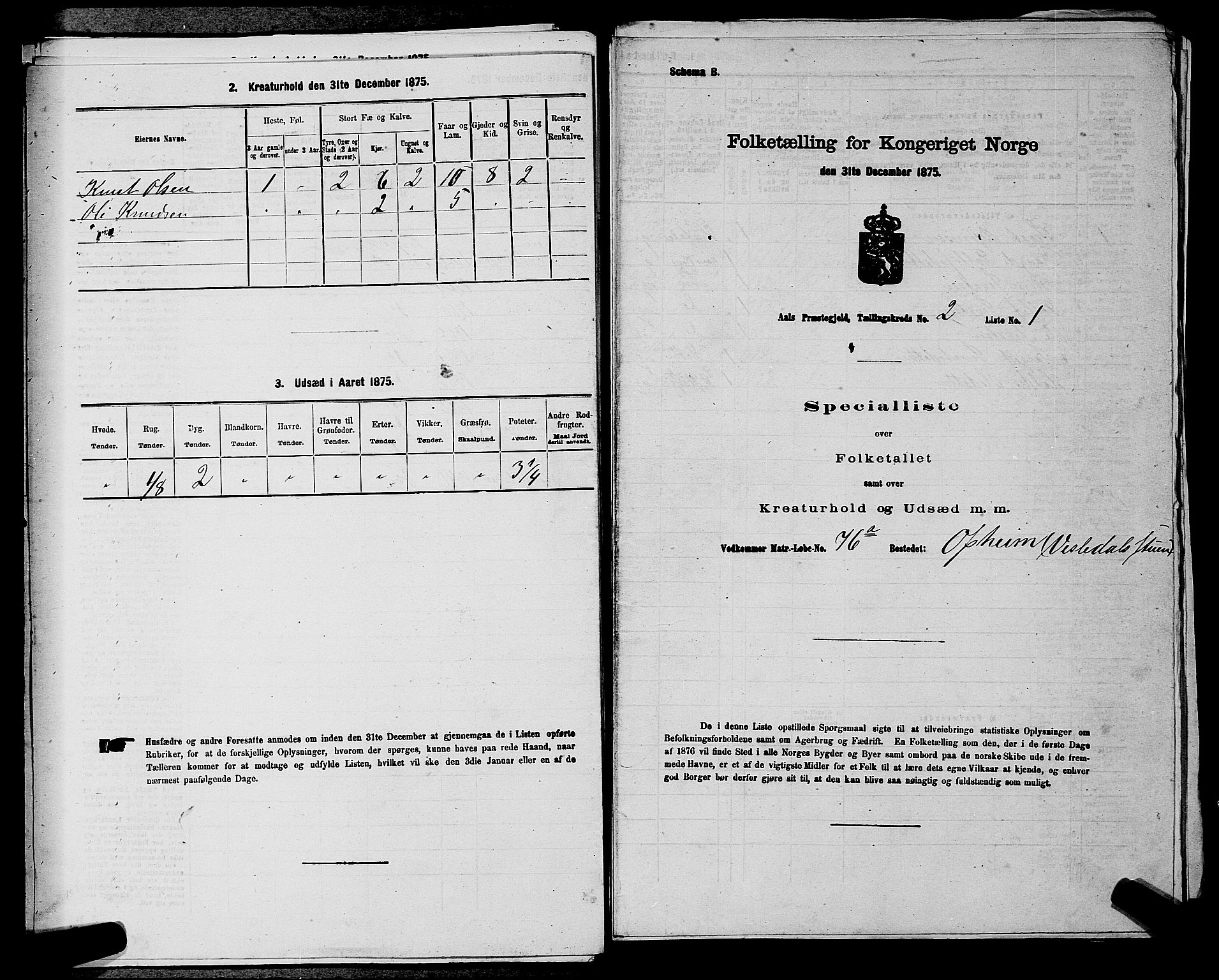 SAKO, 1875 census for 0619P Ål, 1875, p. 248