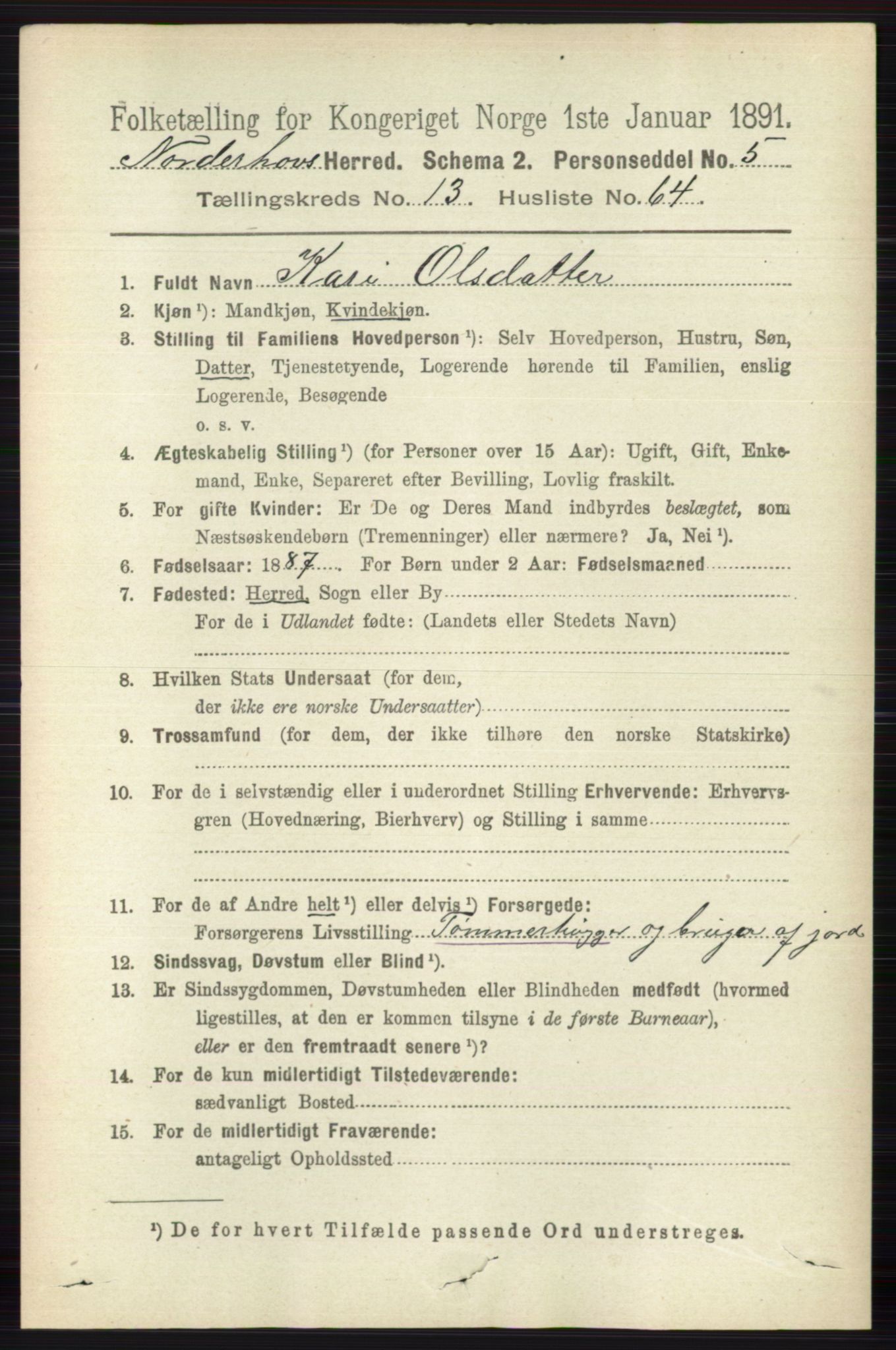 RA, 1891 census for 0613 Norderhov, 1891, p. 9285