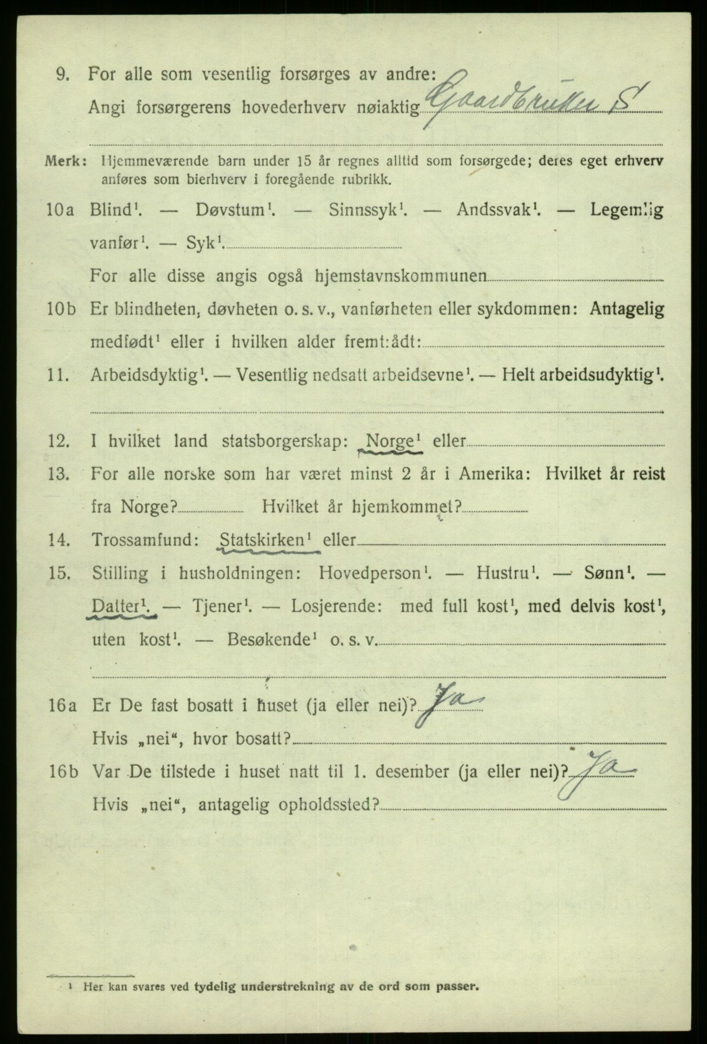 SAB, 1920 census for Hafslo, 1920, p. 6323