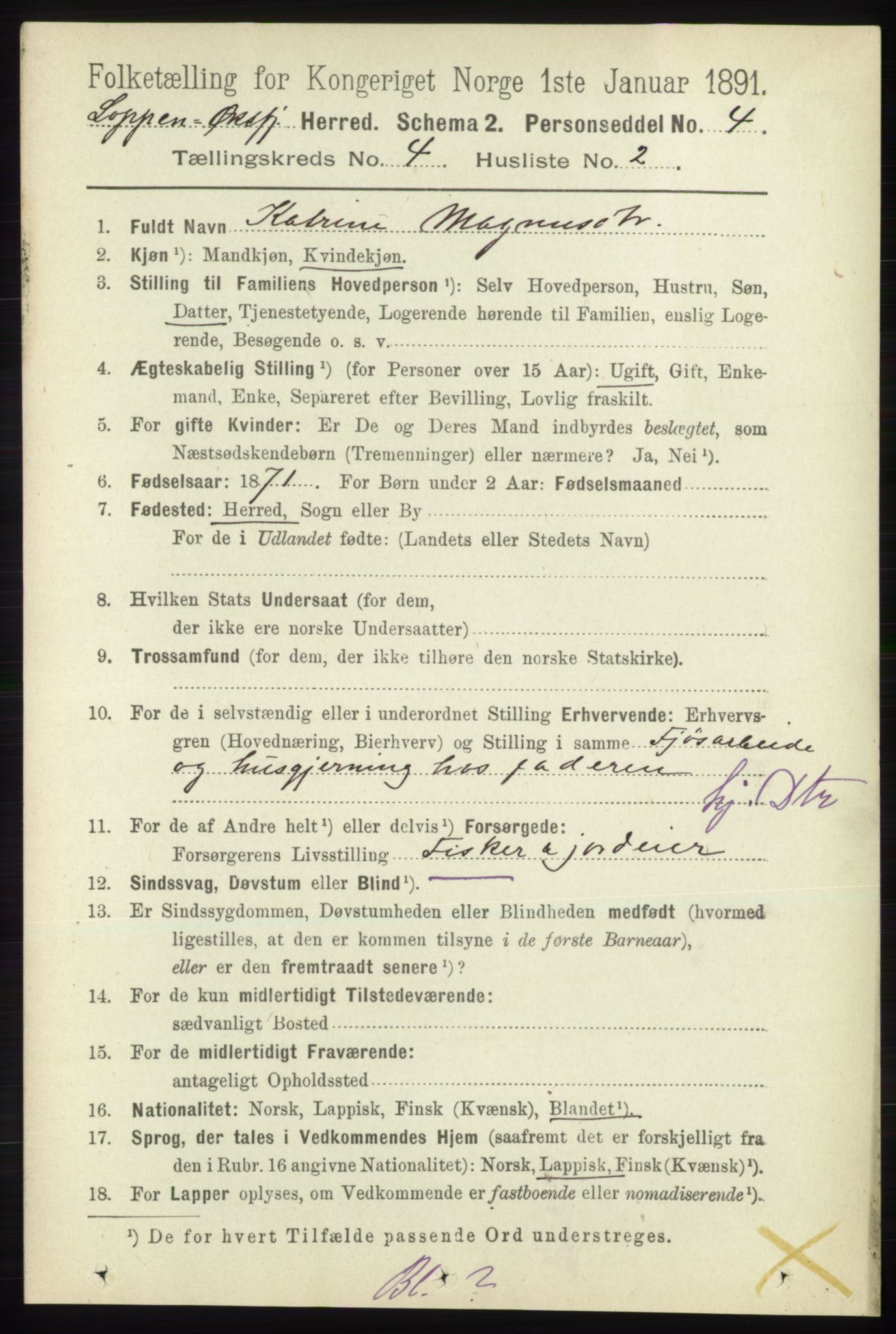 RA, 1891 census for 2014 Loppa, 1891, p. 873