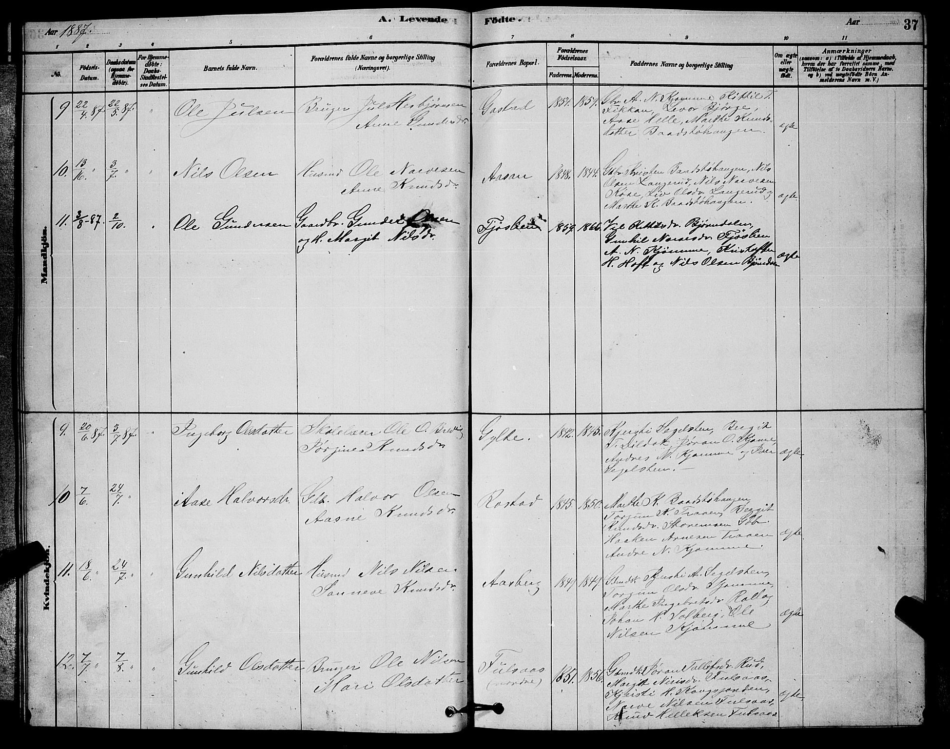 Rollag kirkebøker, AV/SAKO-A-240/G/Ga/L0004: Parish register (copy) no. I 4, 1878-1903, p. 37