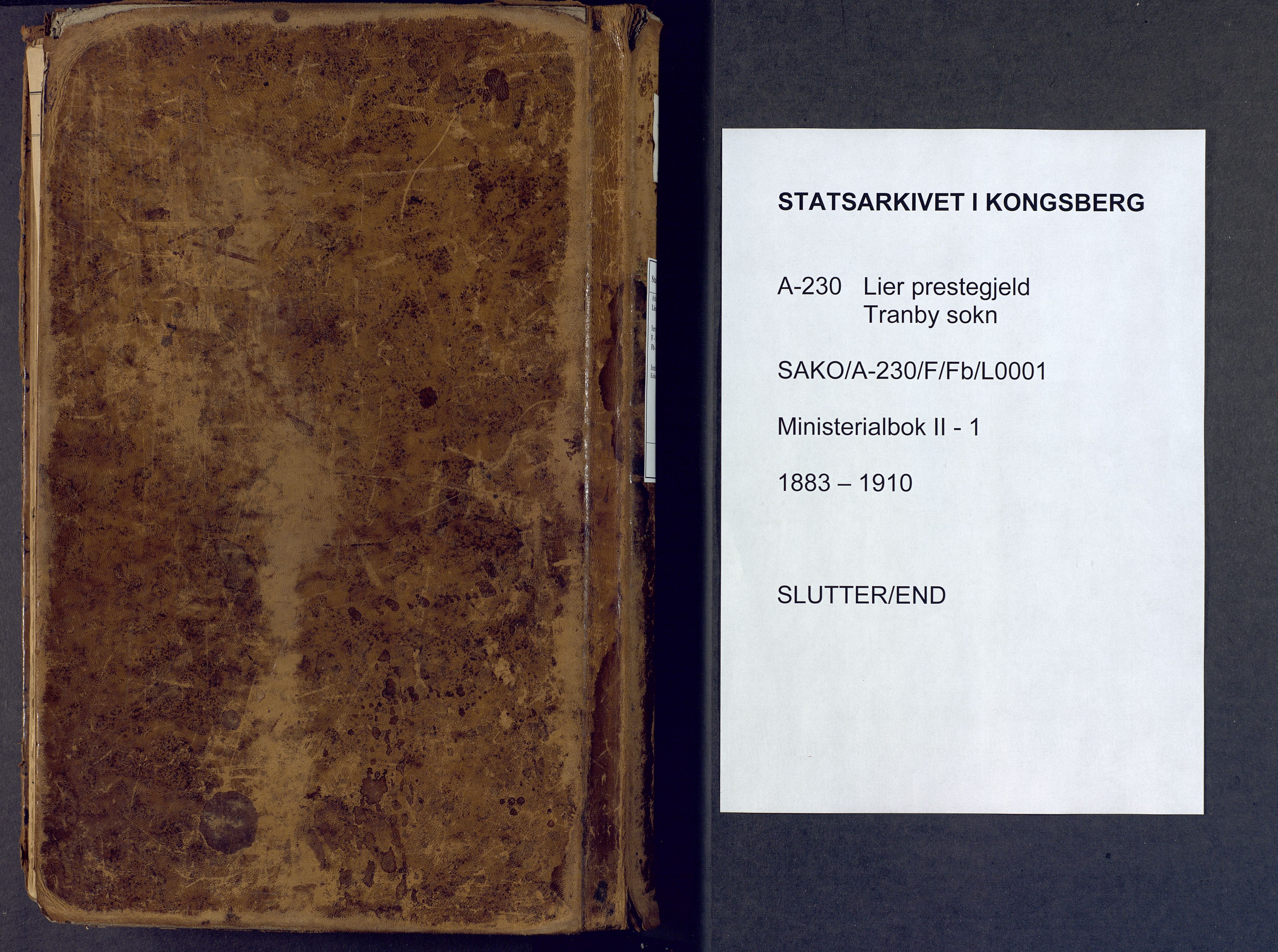 Lier kirkebøker, AV/SAKO-A-230/F/Fb/L0001: Parish register (official) no. II 1, 1883-1910