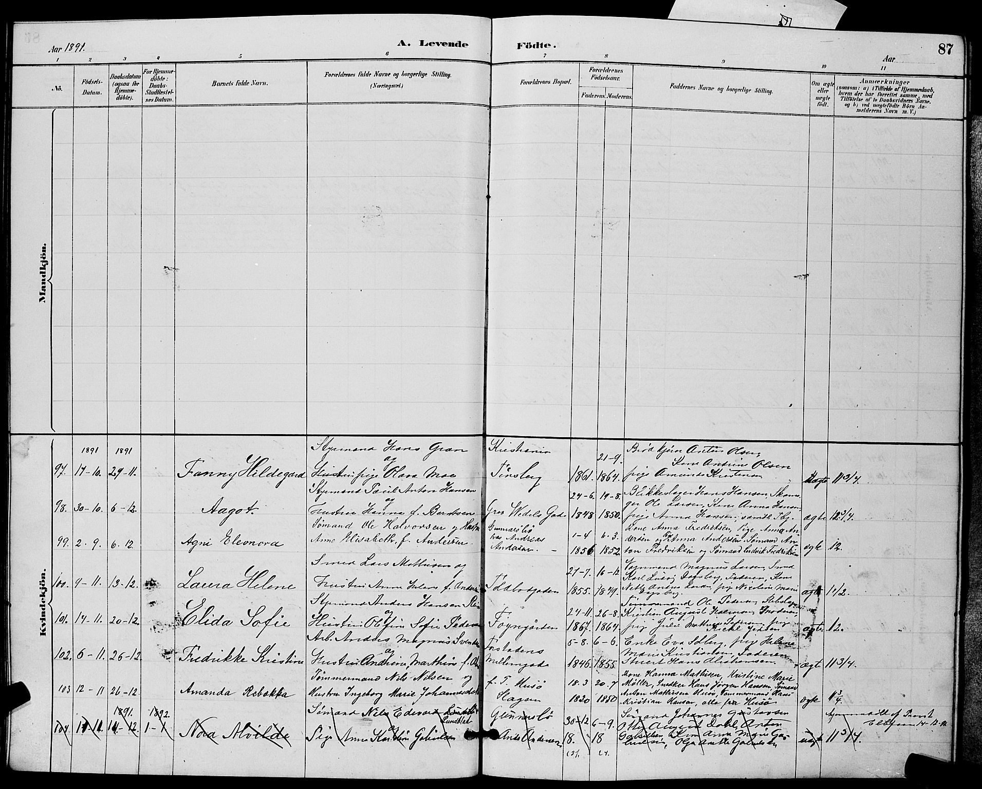 Tønsberg kirkebøker, AV/SAKO-A-330/G/Ga/L0006: Parish register (copy) no. 6, 1885-1895, p. 87