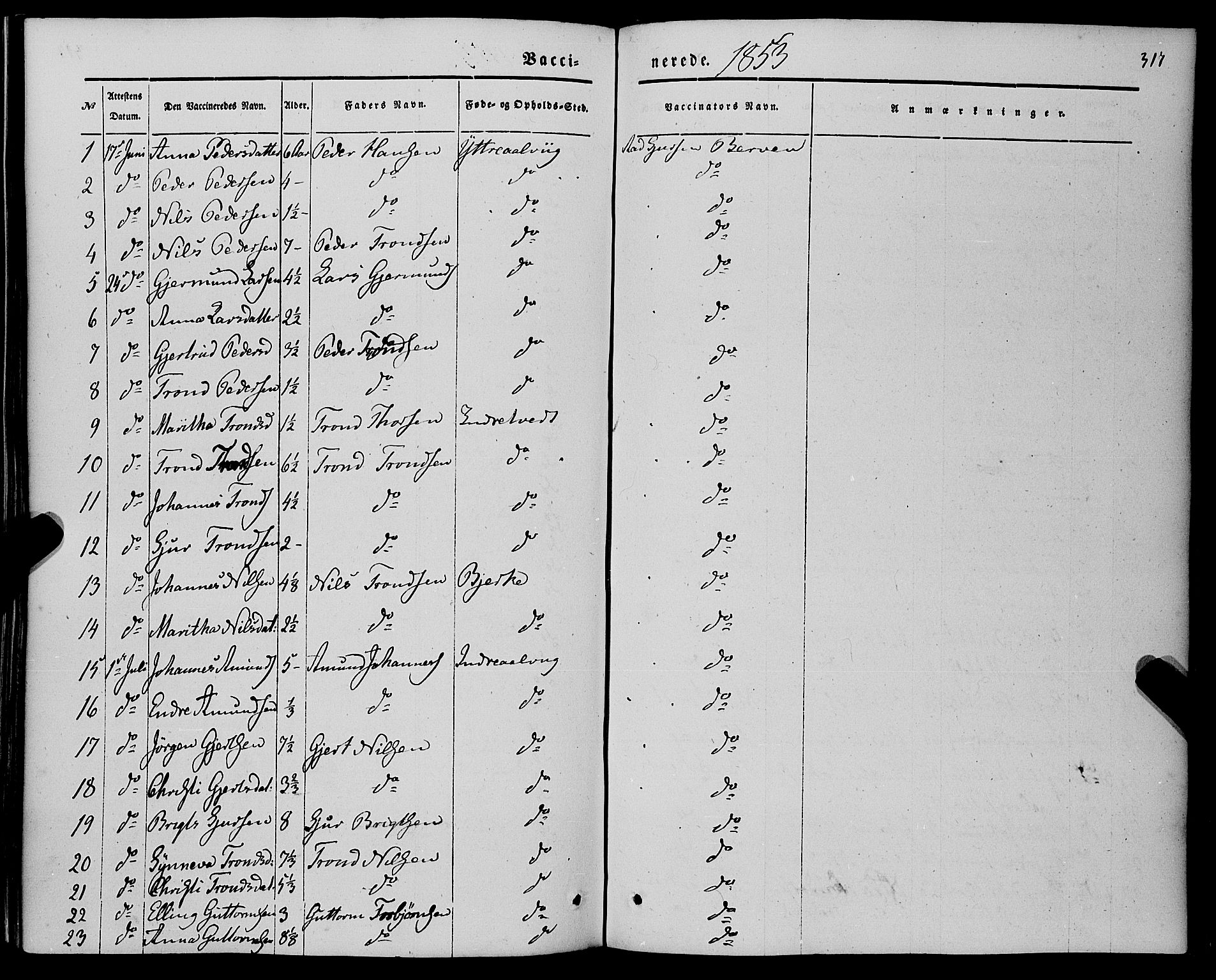 Kvam sokneprestembete, AV/SAB-A-76201/H/Haa: Parish register (official) no. A 8, 1844-1863, p. 317