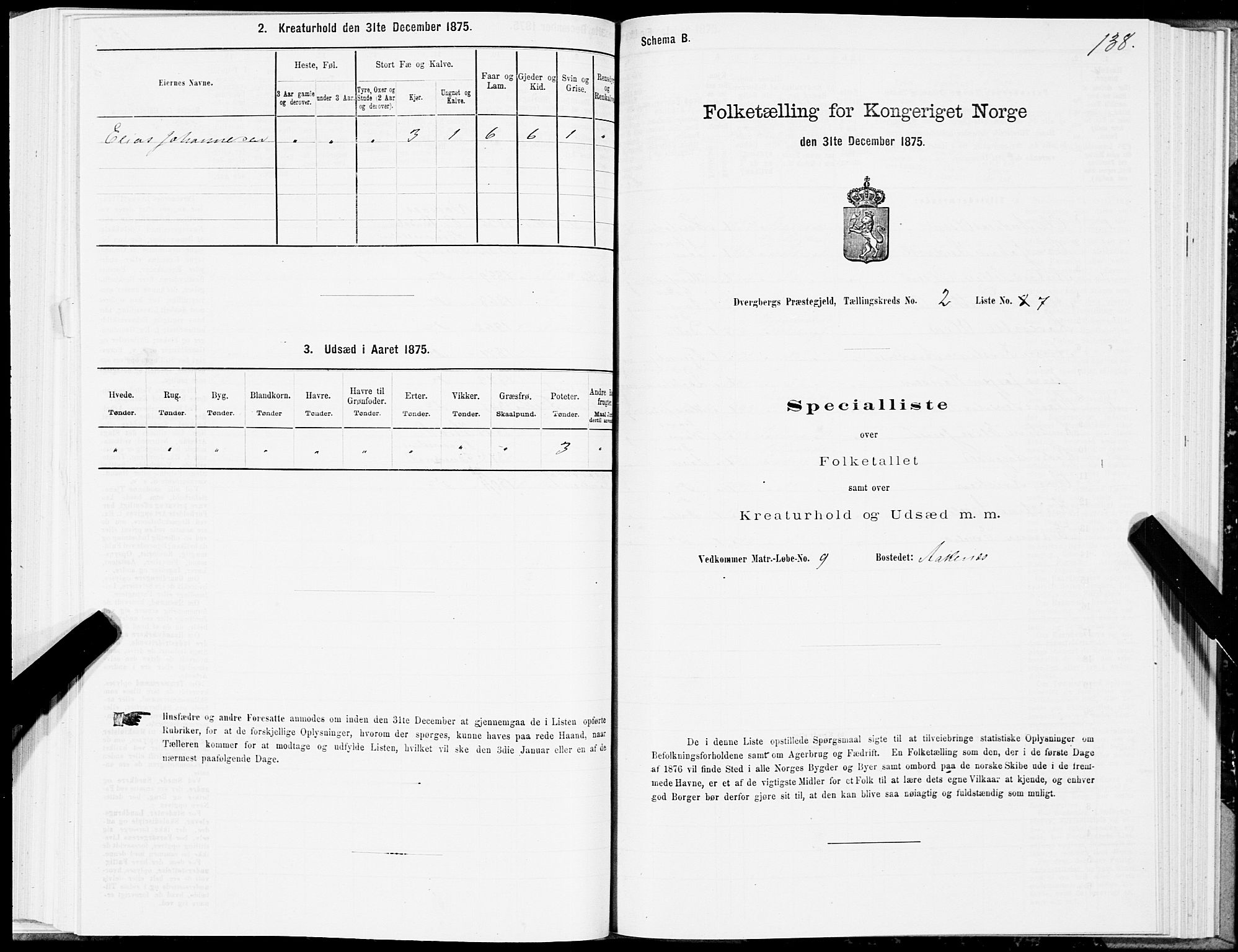 SAT, 1875 census for 1872P Dverberg, 1875, p. 1138