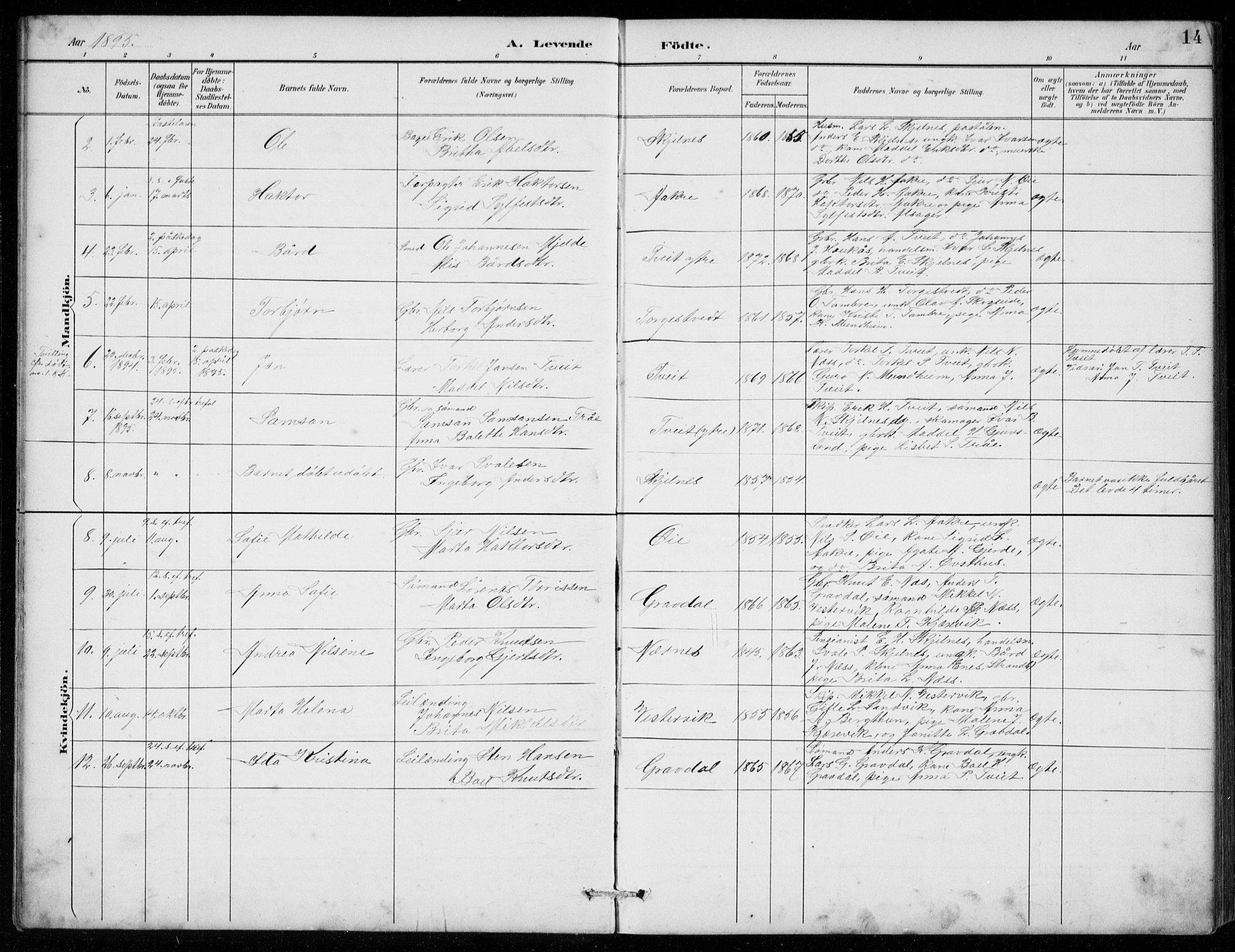 Strandebarm sokneprestembete, SAB/A-78401/H/Hab: Parish register (copy) no. C  1, 1891-1913, p. 14